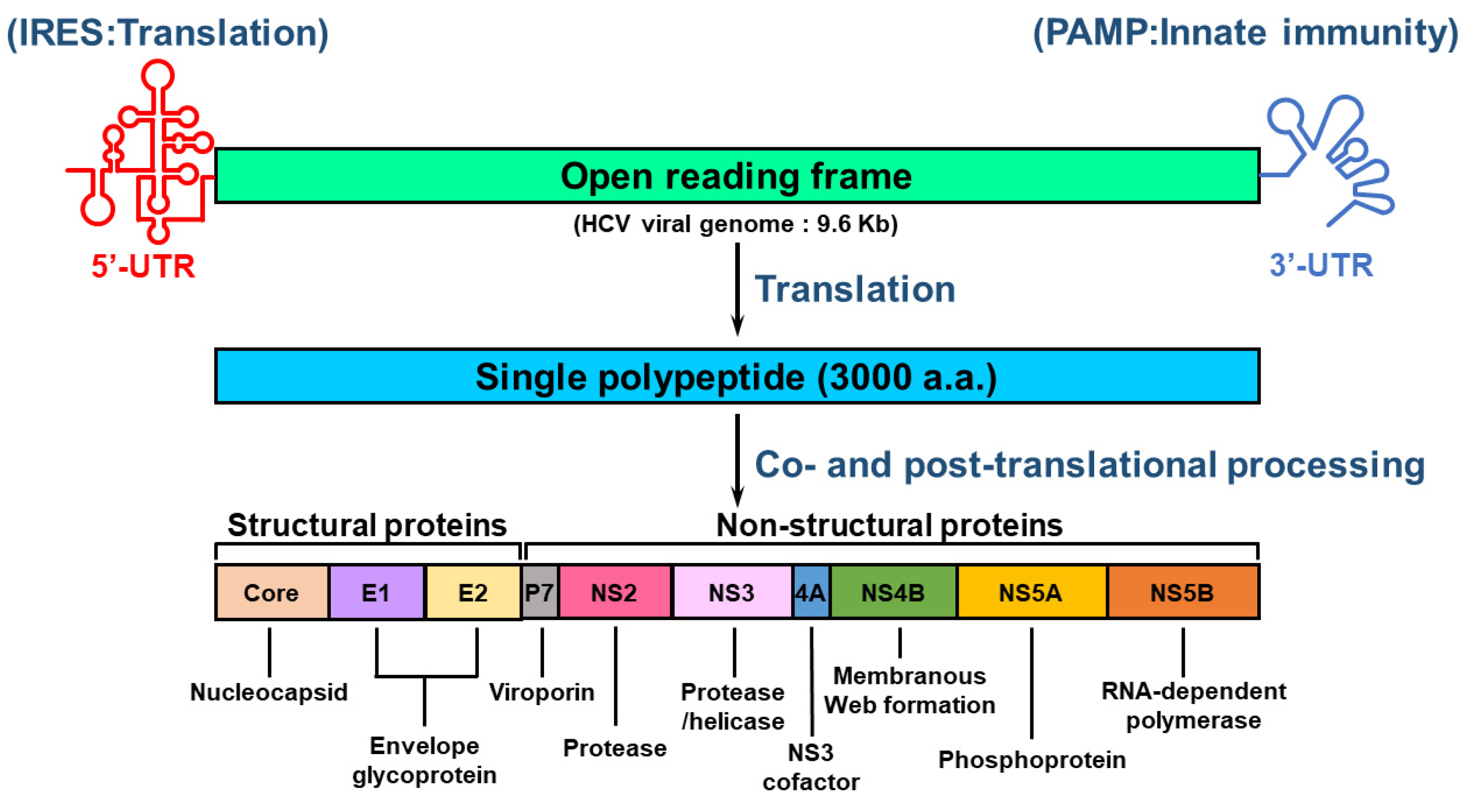 Pathogens 13 00980 g001 Pathogens 13 00980 g001
