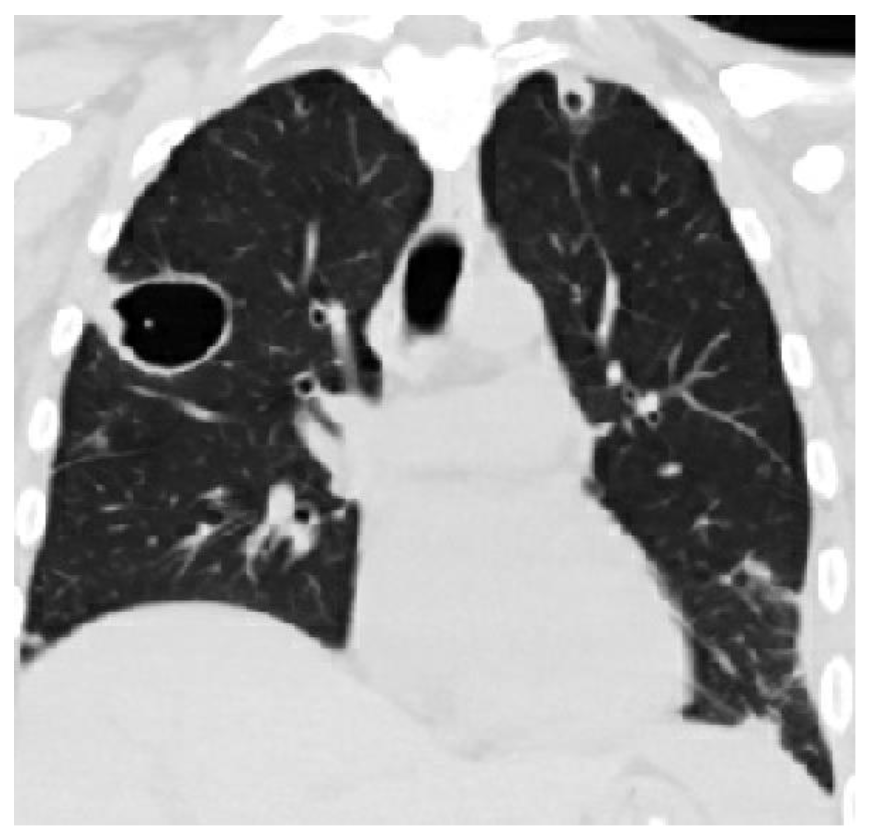 Pathogens 13 00984 g003