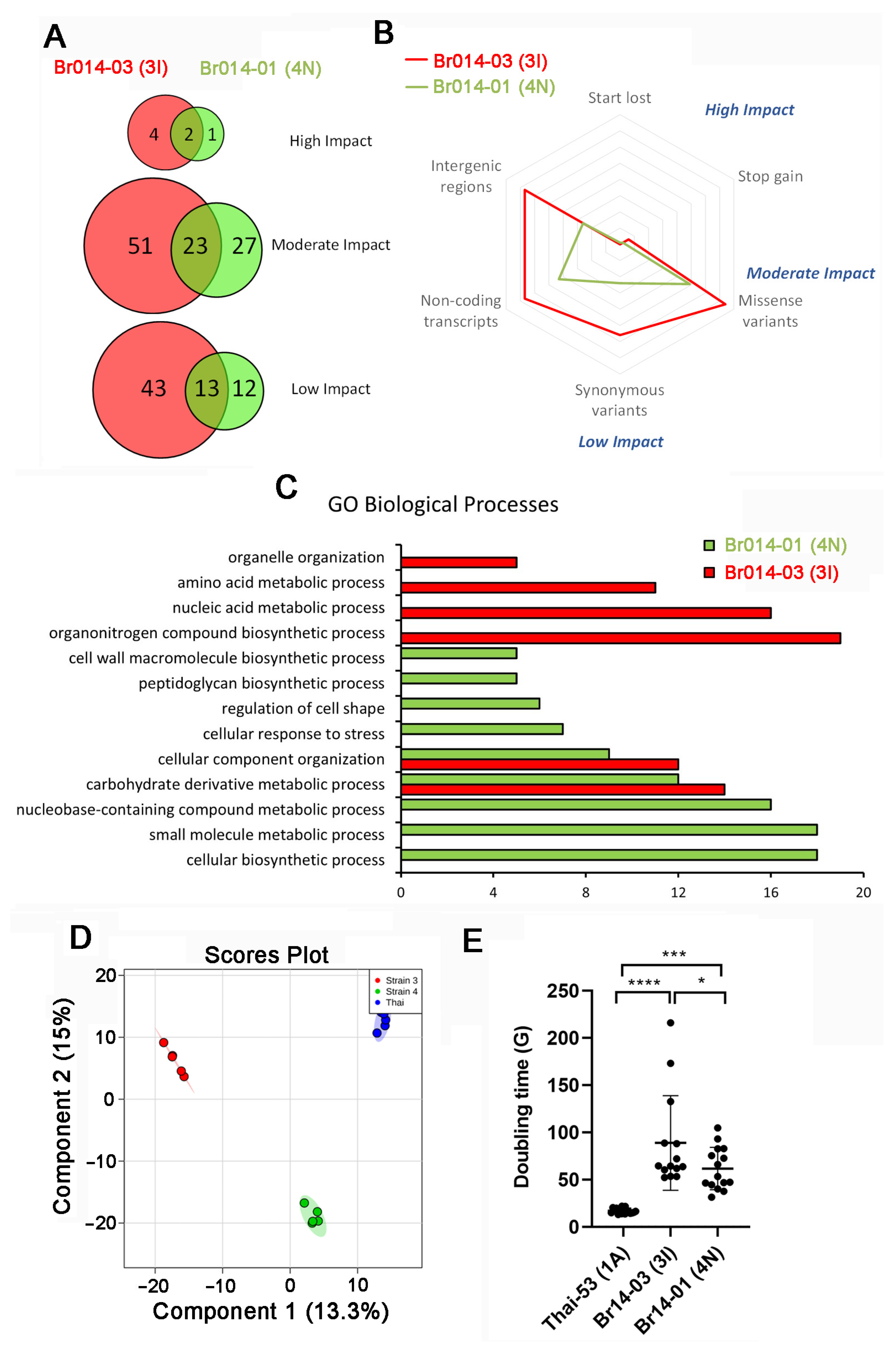 Pathogens 13 00986 g001
