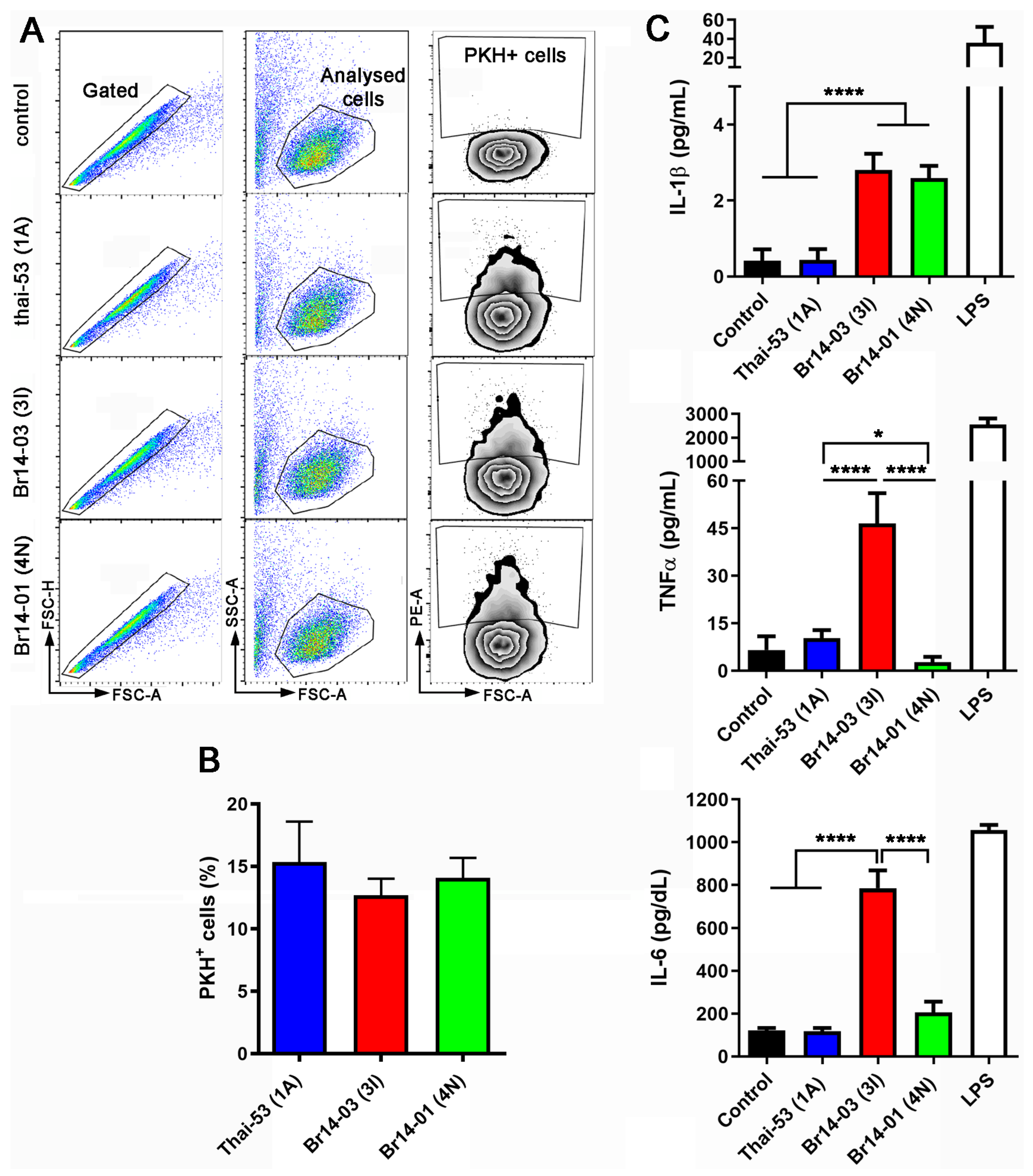 Pathogens 13 00986 g004