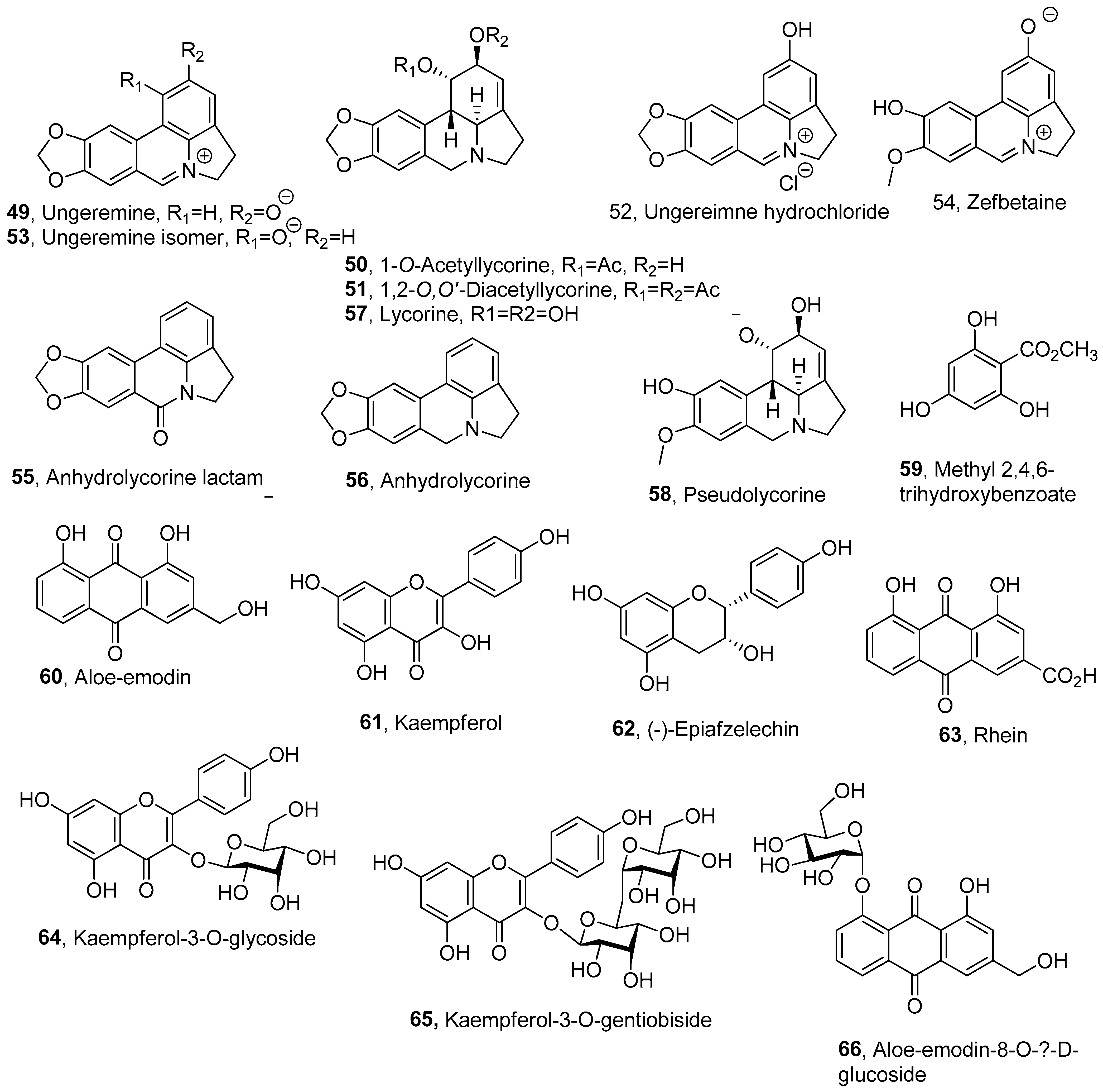 Pathogens 13 01000 g003 Pathogens 13 01000 g003
