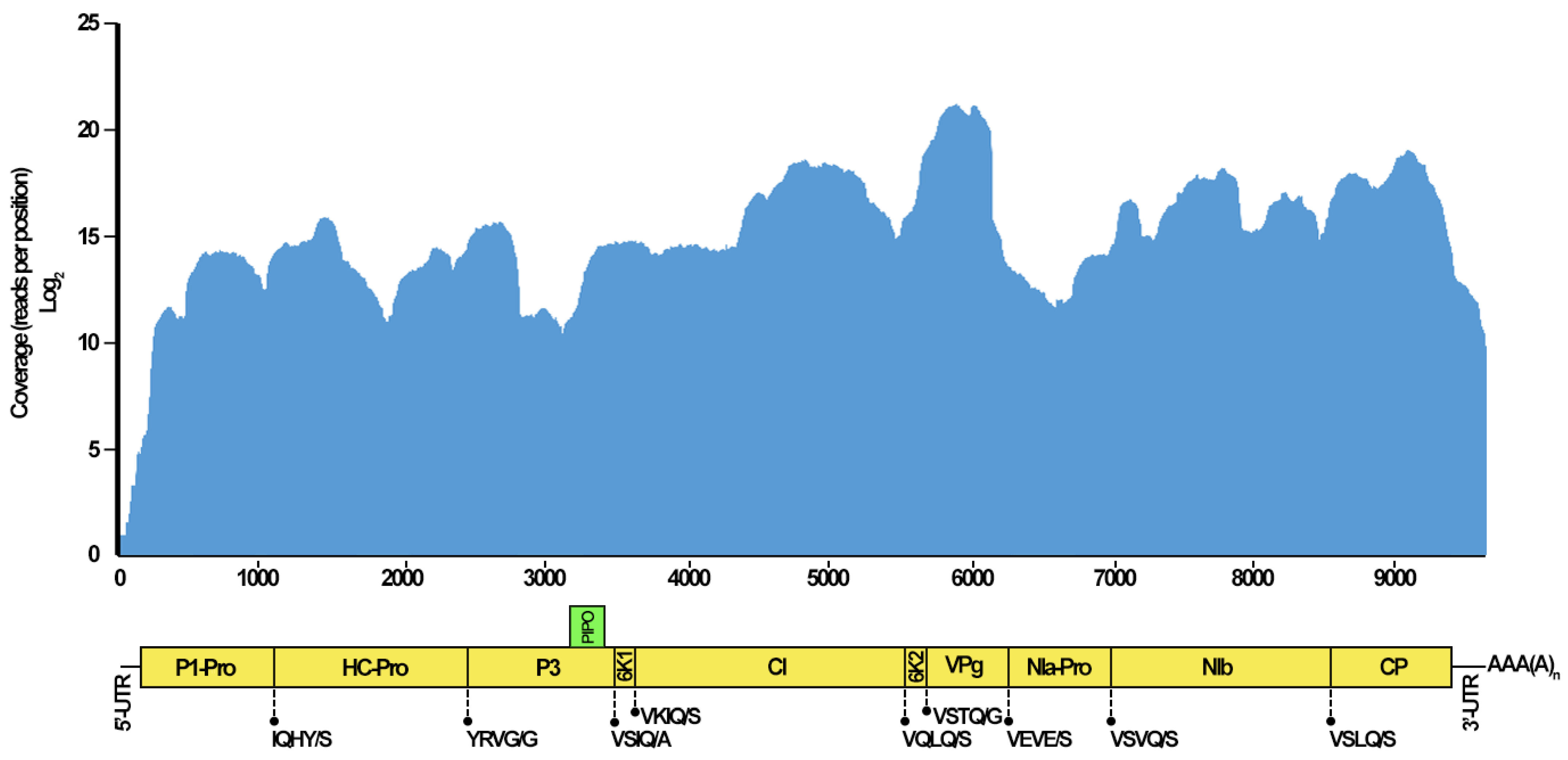 Pathogens 13 01001 g002