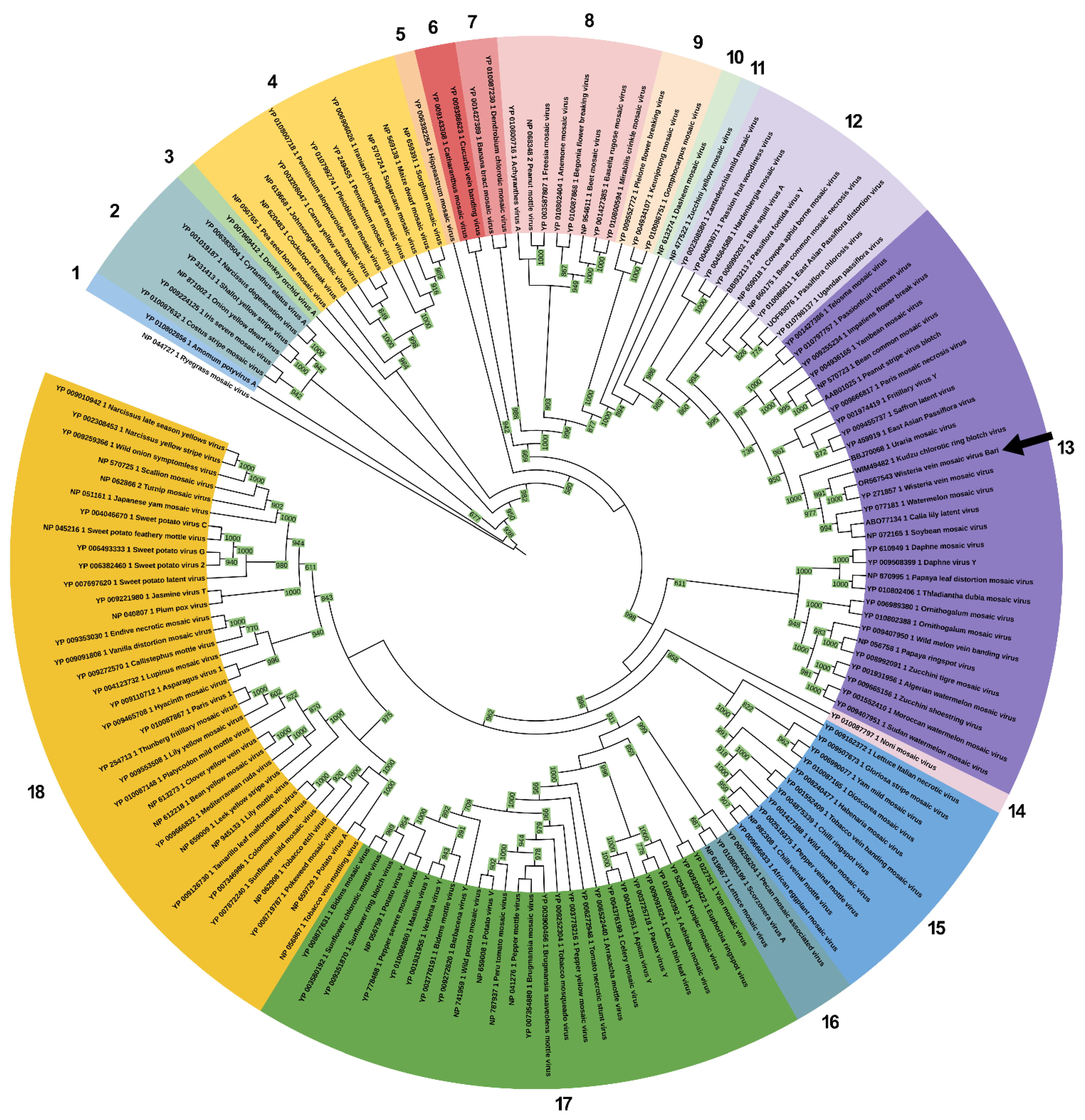 Pathogens 13 01001 g003