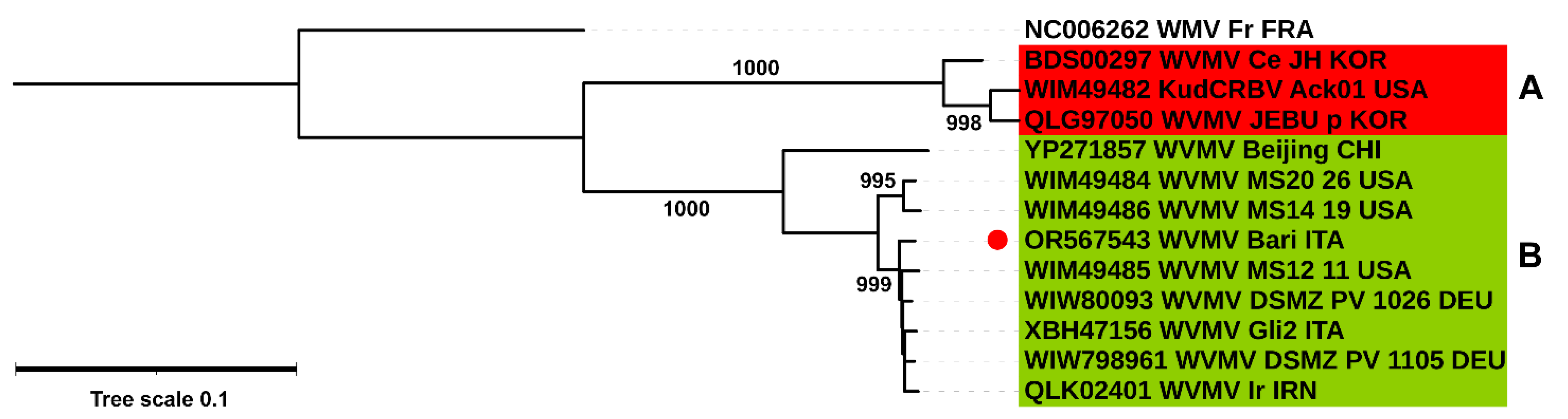 Pathogens 13 01001 g004