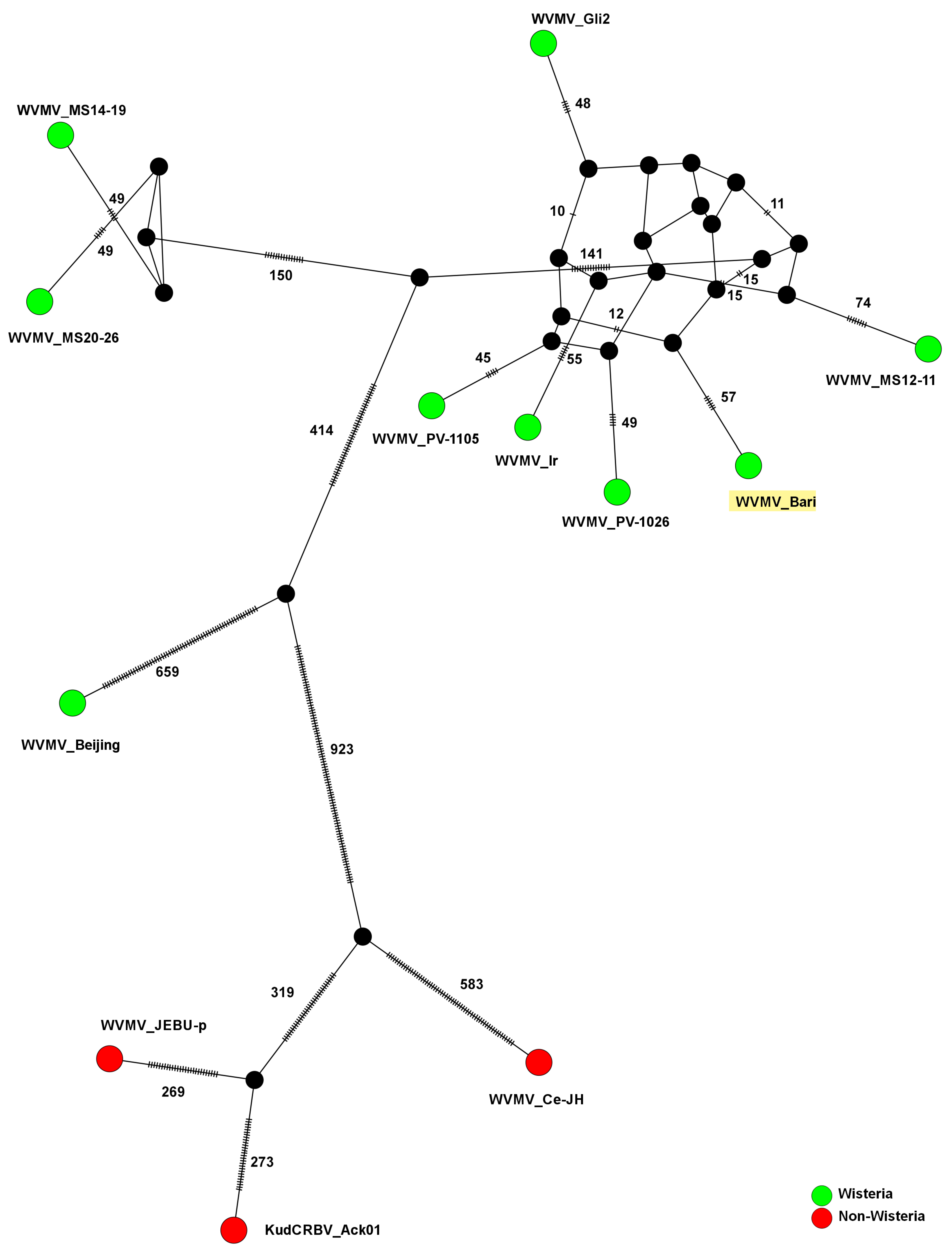 Pathogens 13 01001 g006