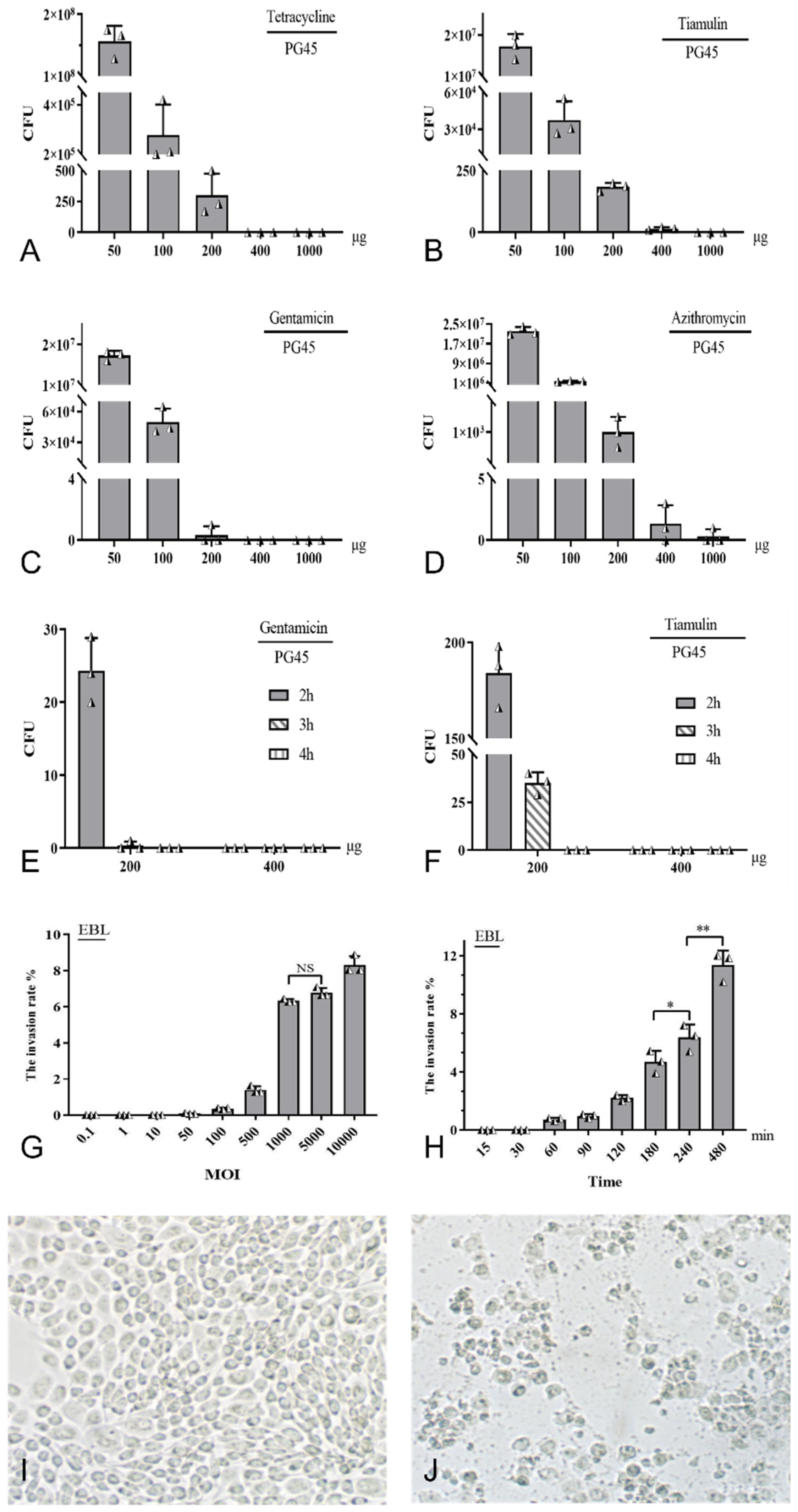 Pathogens 13 01003 g001 Pathogens 13 01003 g001