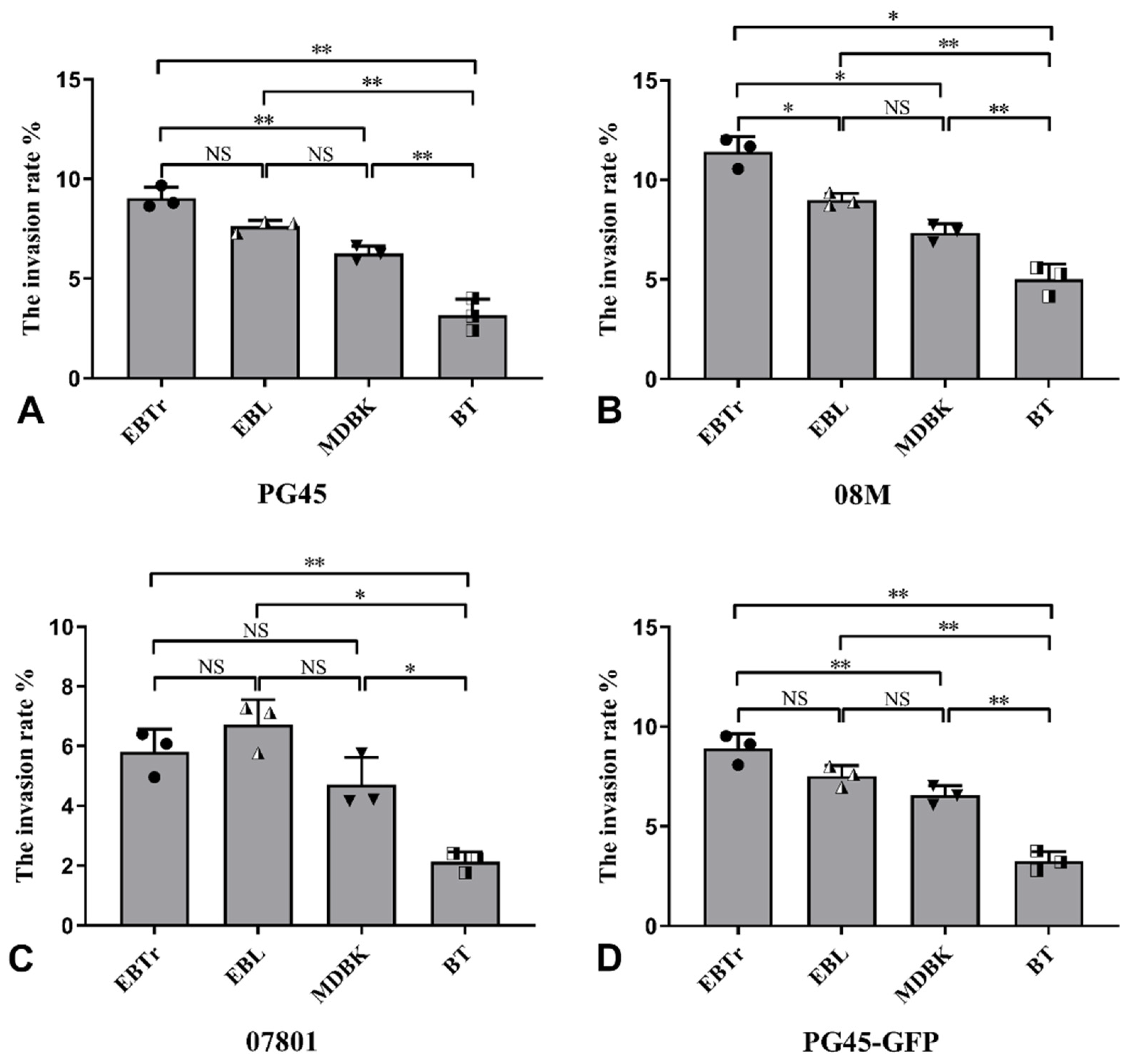 Pathogens 13 01003 g003 Pathogens 13 01003 g003