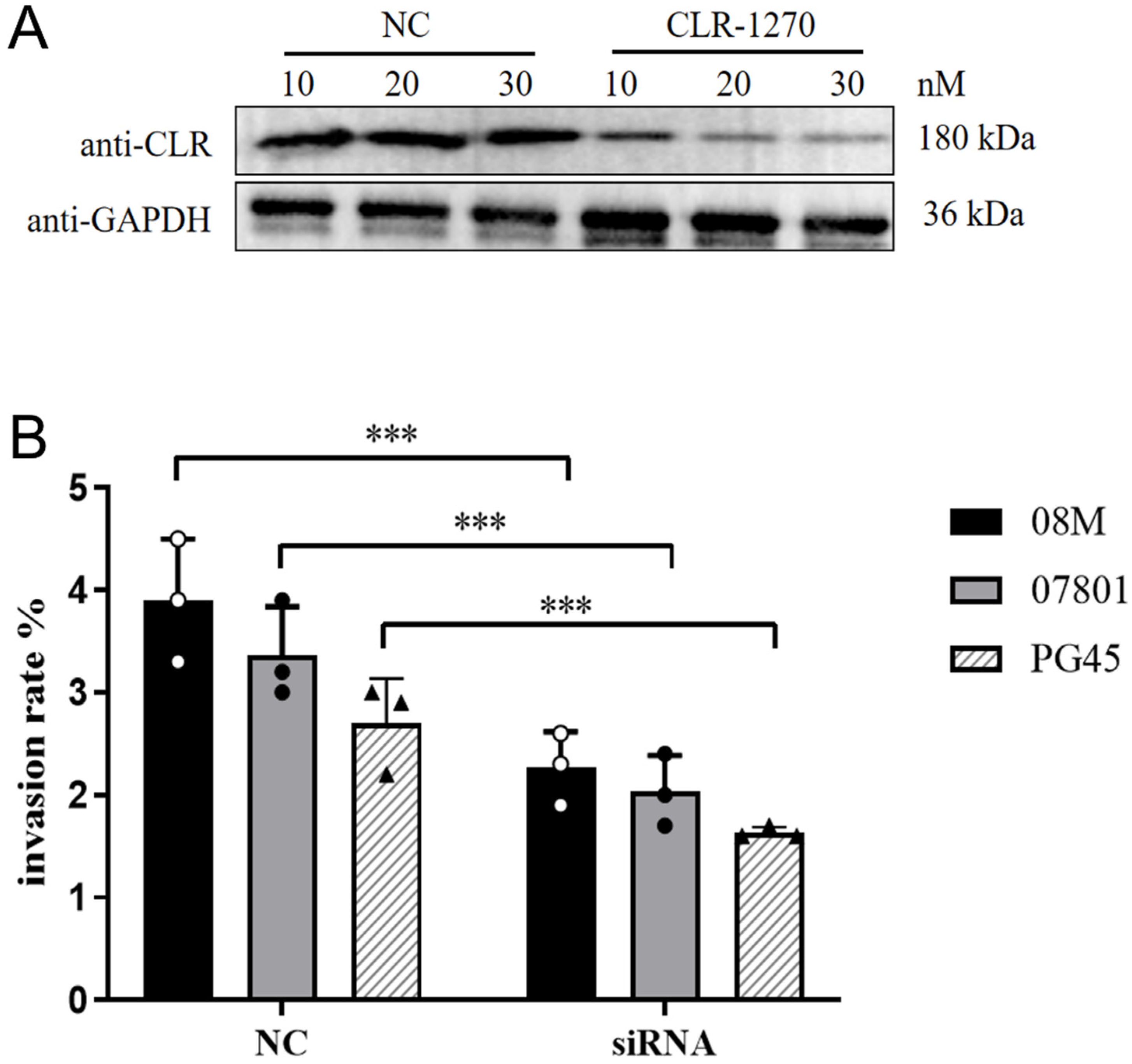 Pathogens 13 01003 g007 Pathogens 13 01003 g007