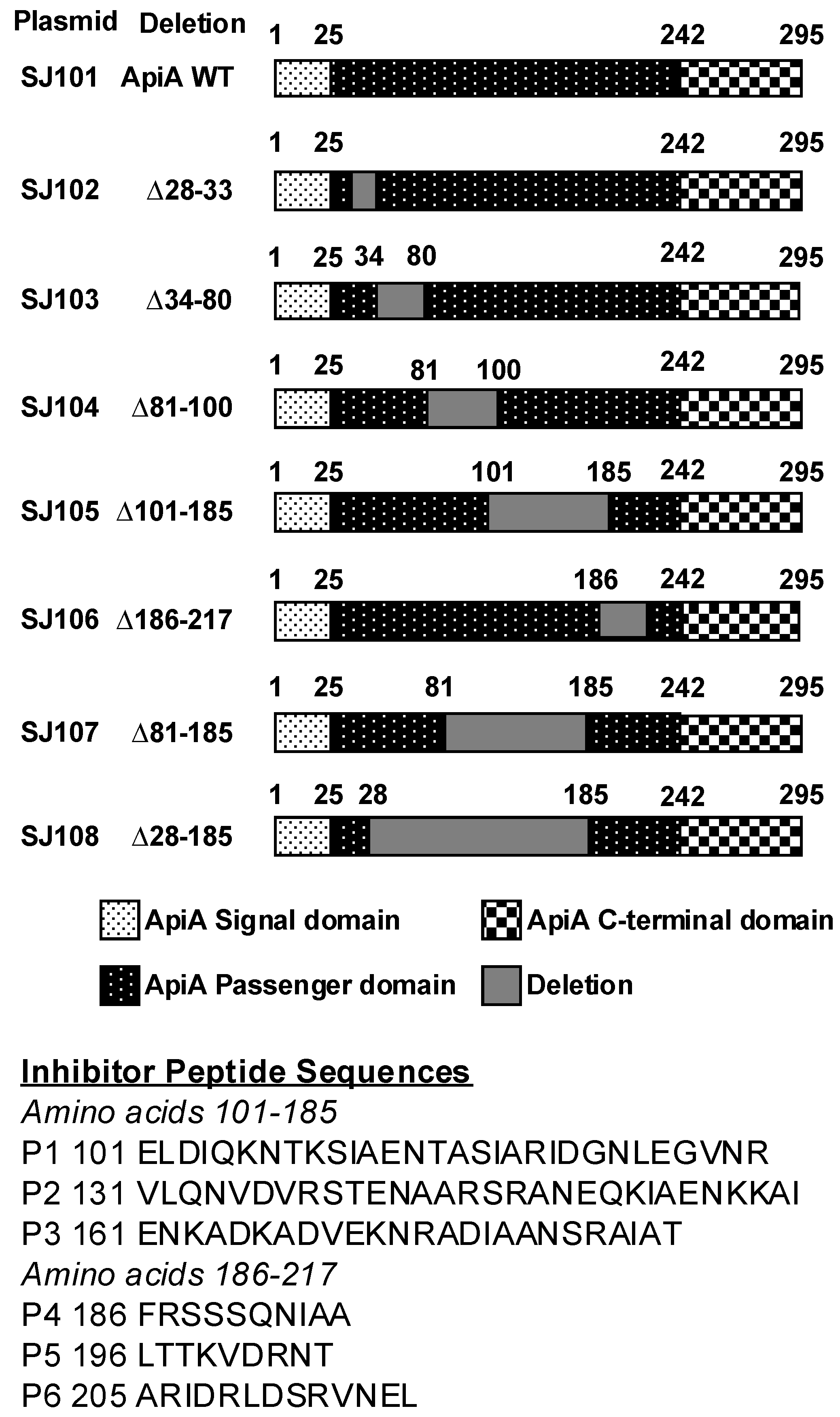 Pathogens 13 01011 g001