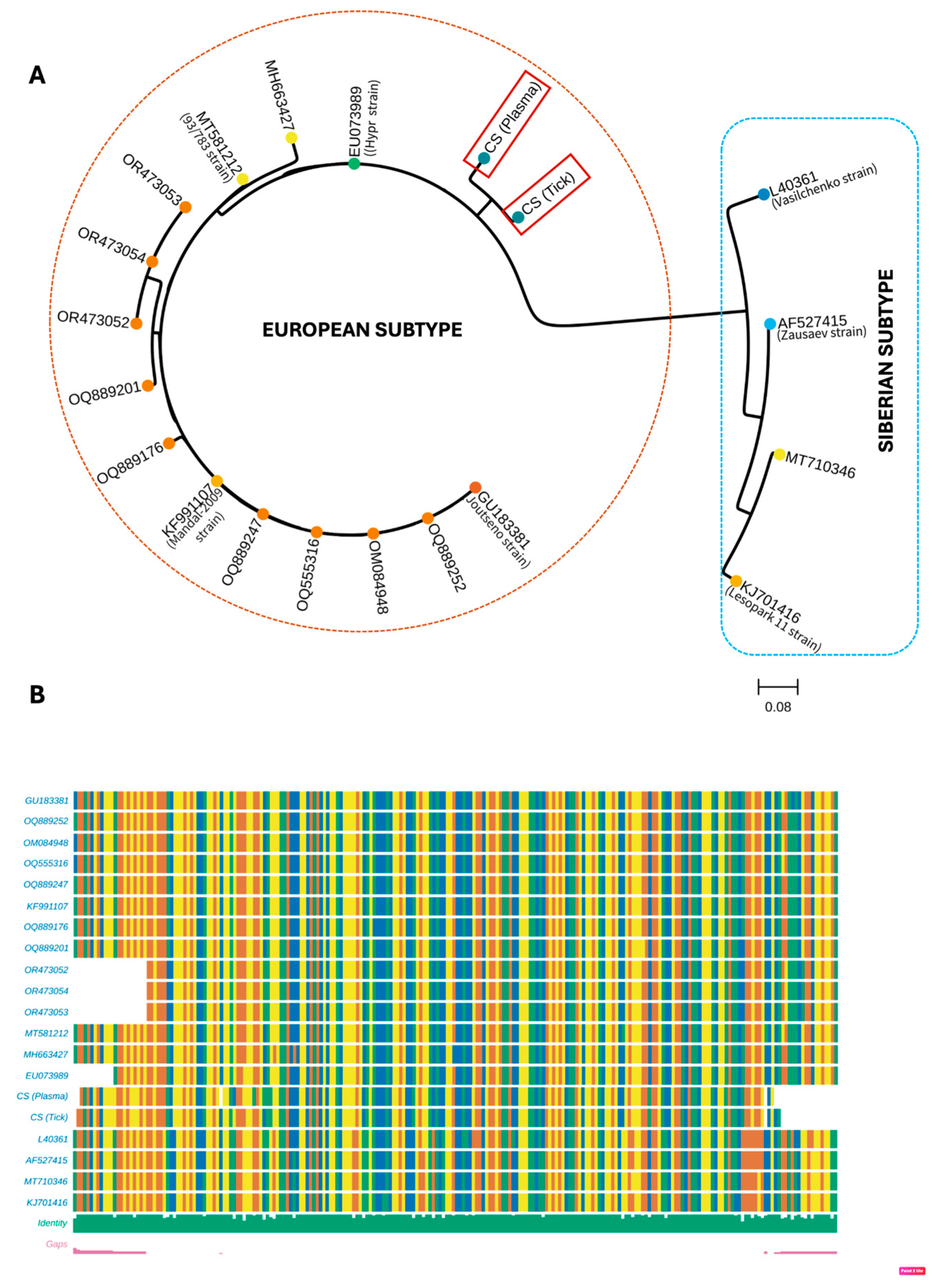Pathogens 13 01013 g001 Pathogens 13 01013 g001