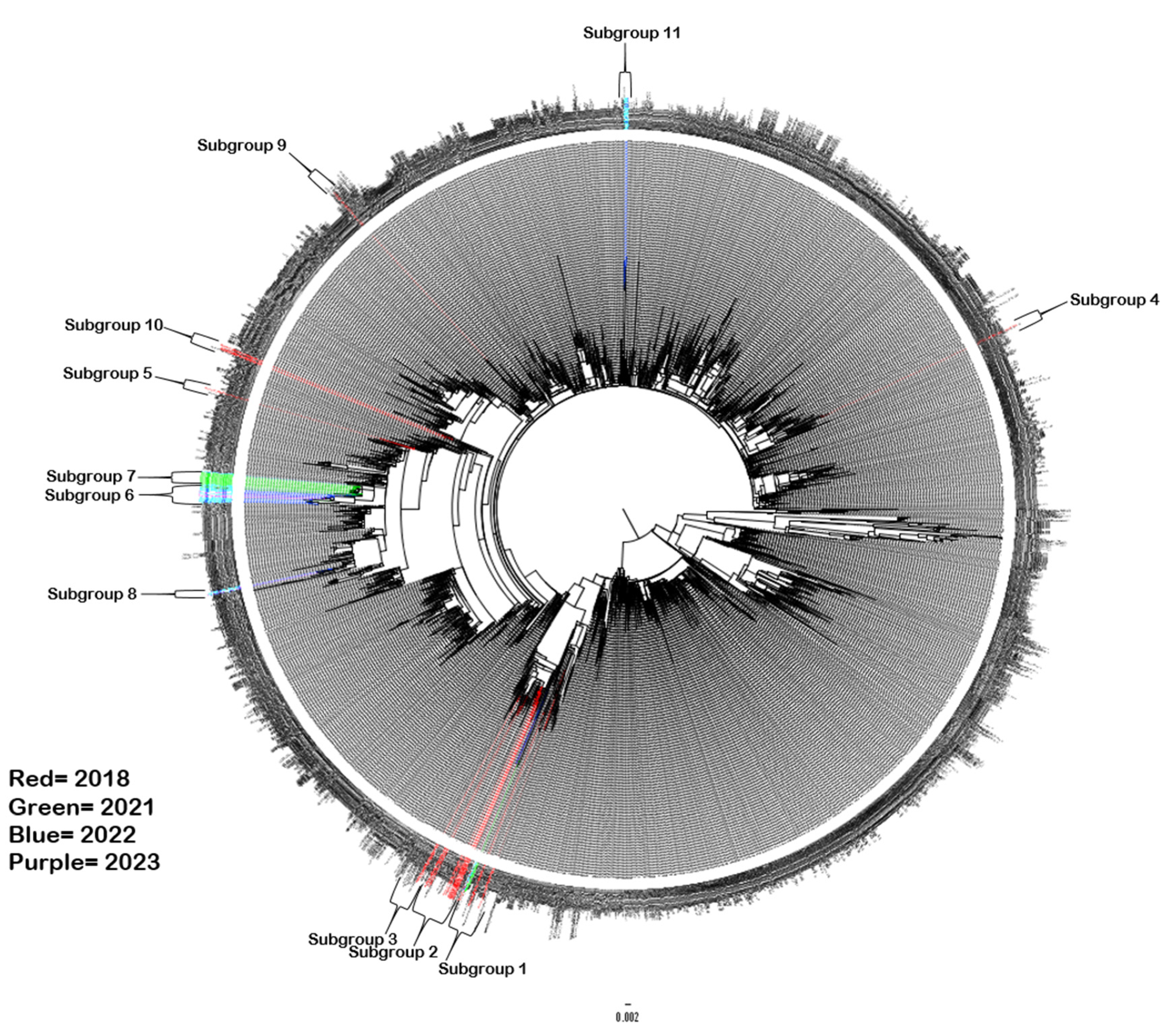 Pathogens 13 01020 g002