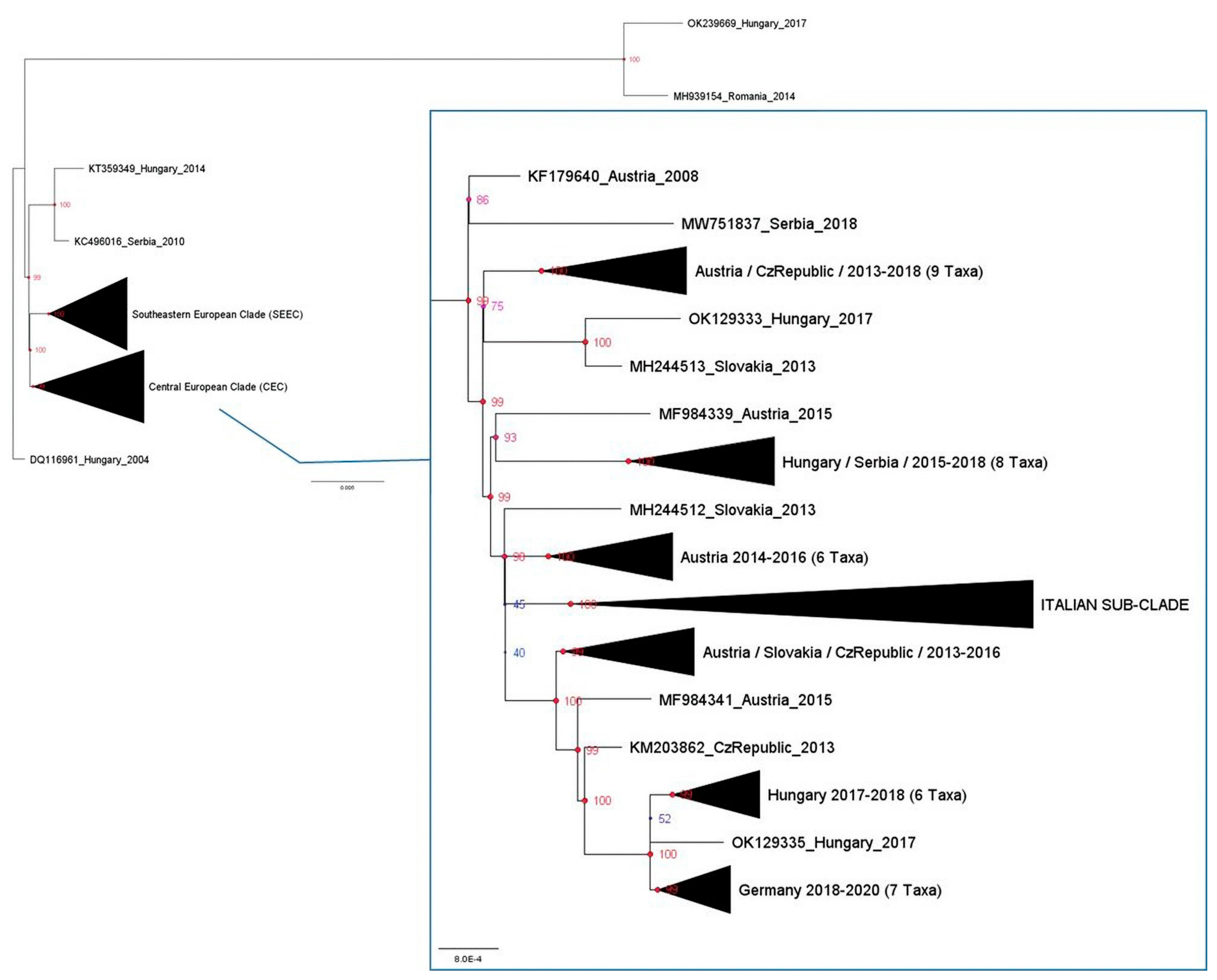 Pathogens 13 01023 g001
