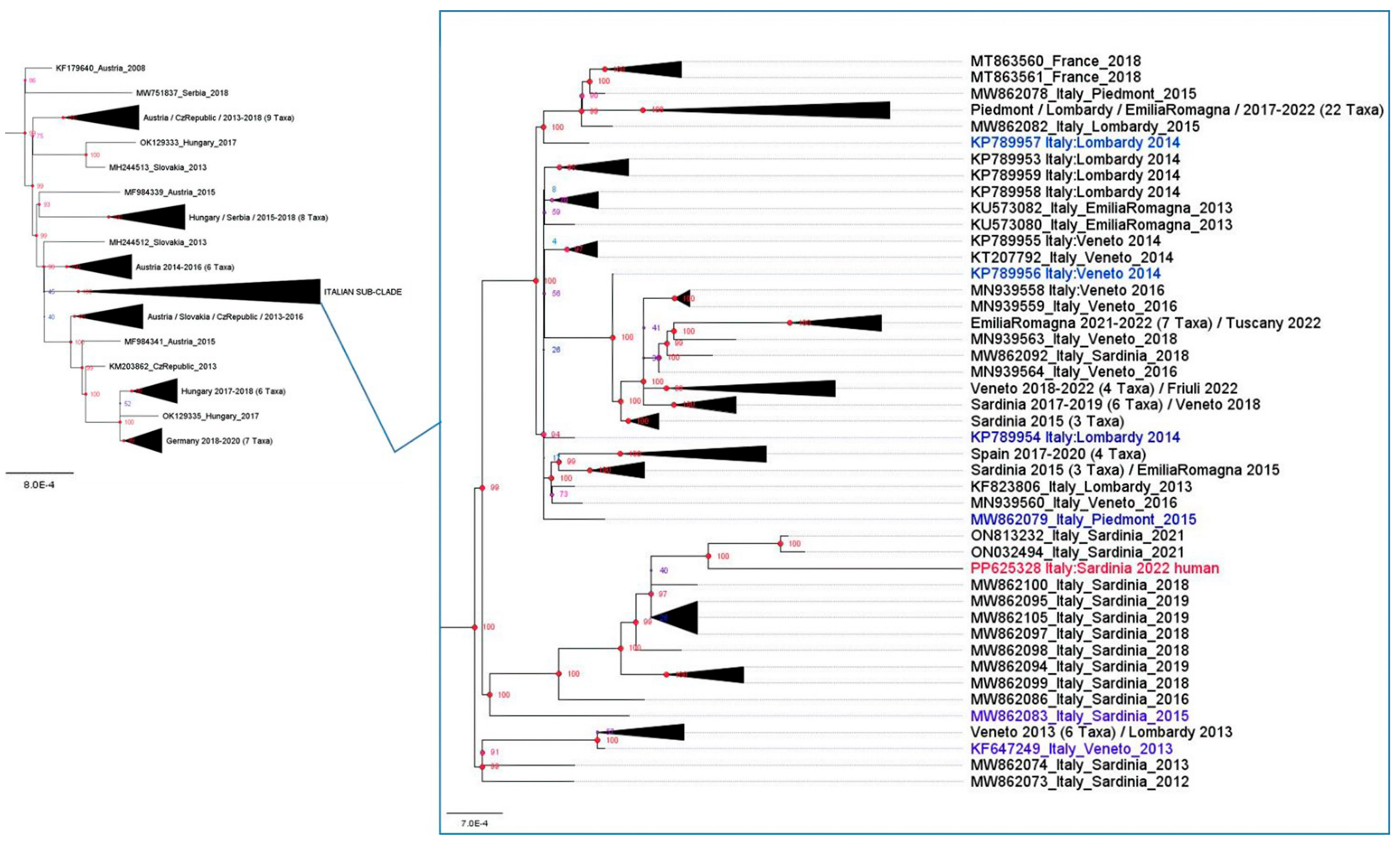 Pathogens 13 01023 g002