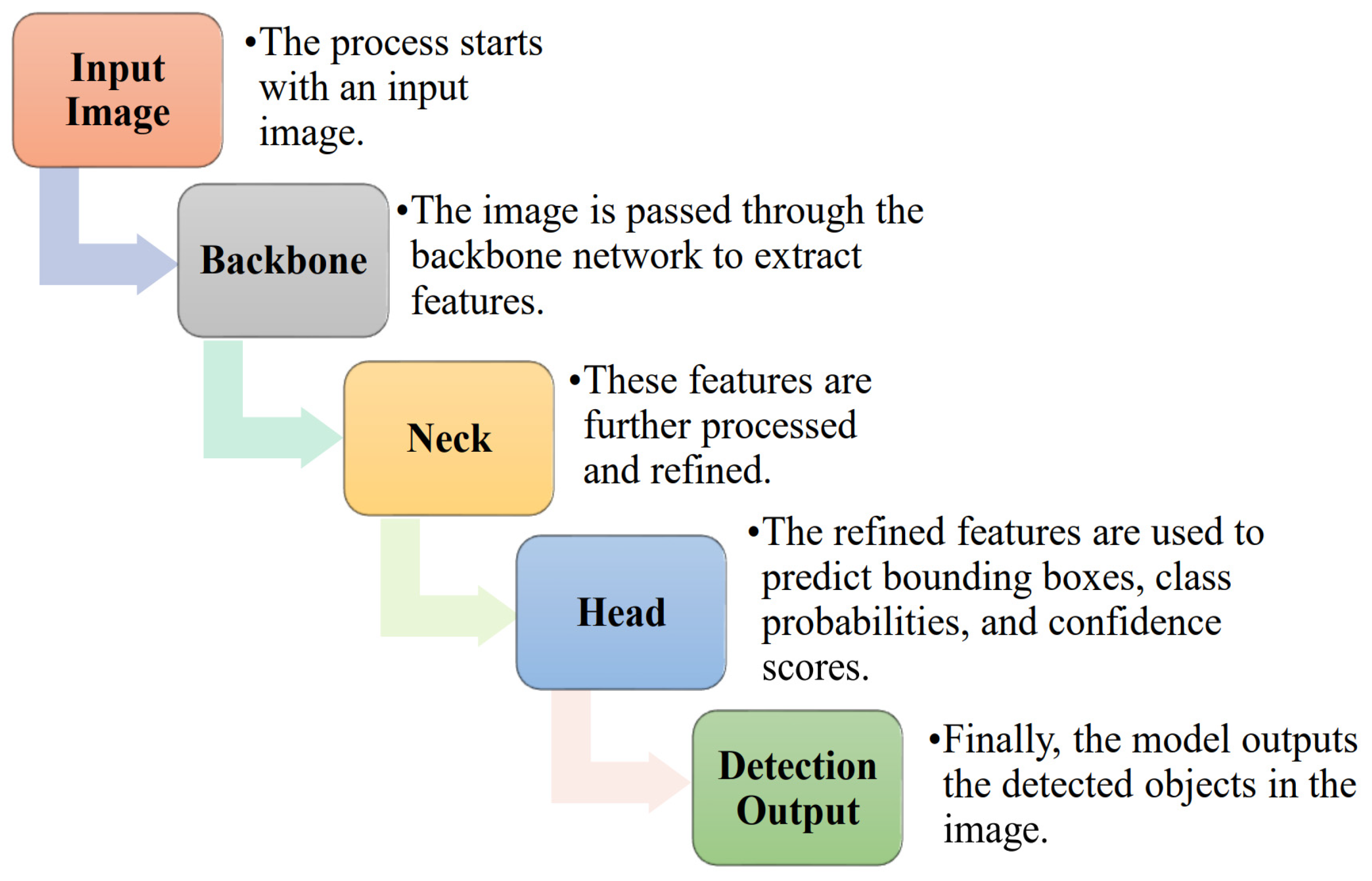 Pathogens 13 01032 g004