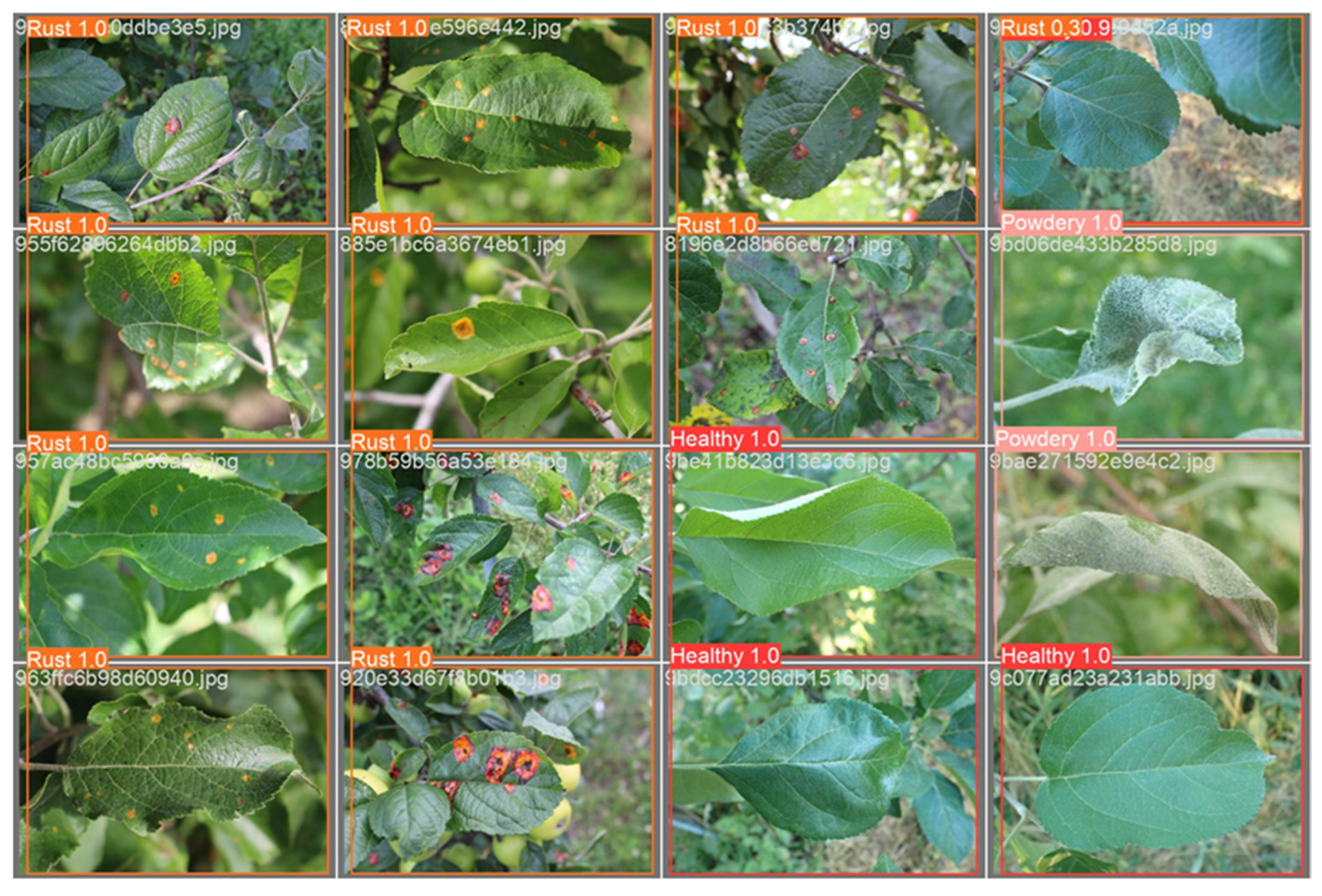 Pathogens 13 01032 g008