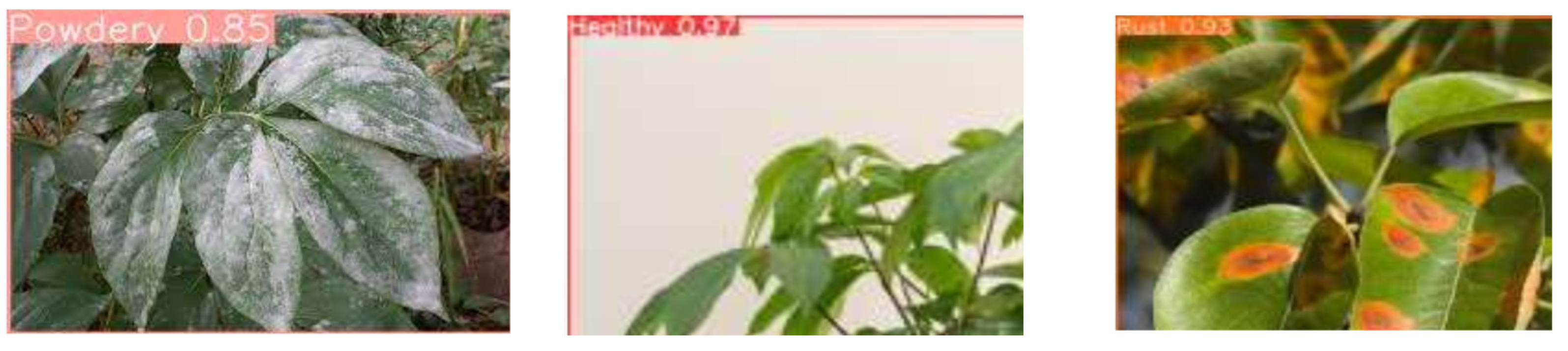 Pathogens 13 01032 g009