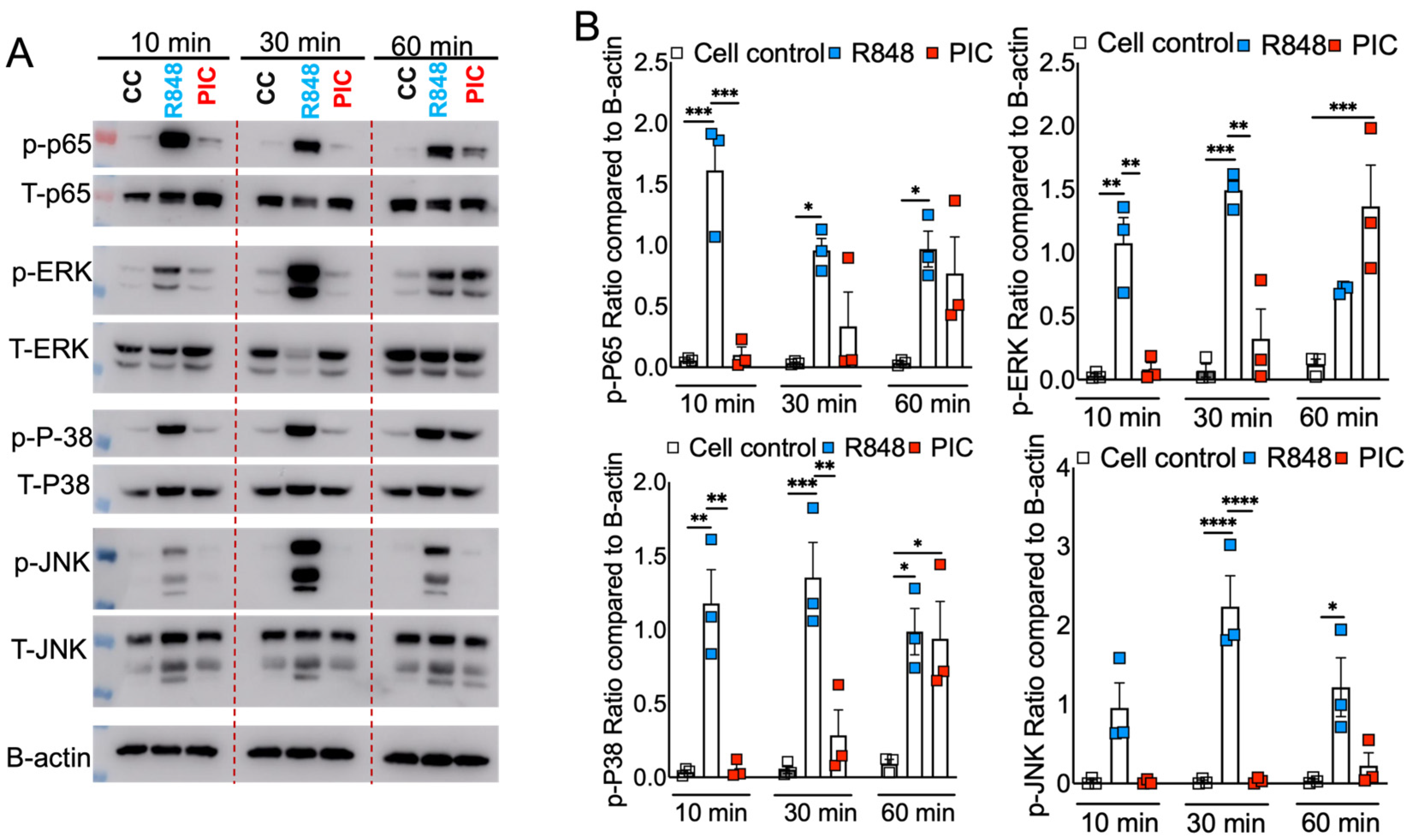 Pathogens 13 01033 g004