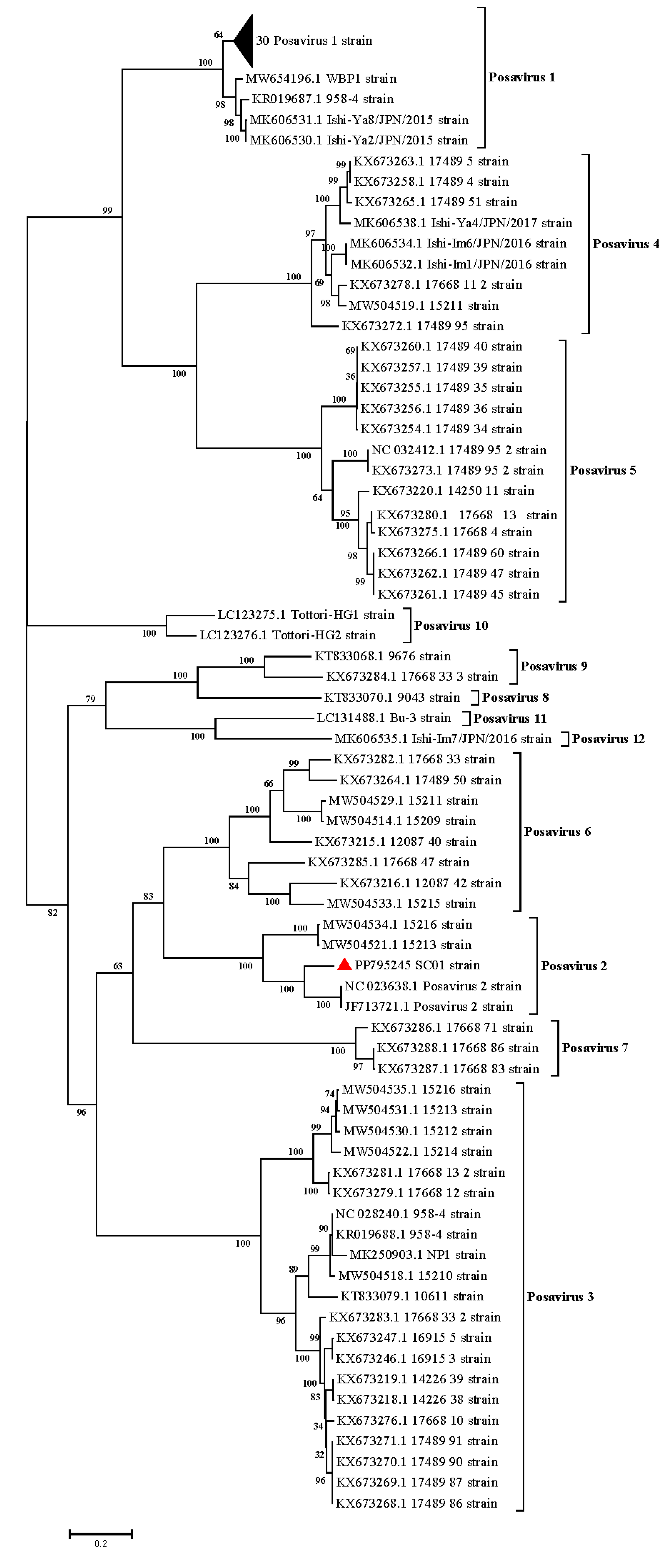 Pathogens 13 01036 g001