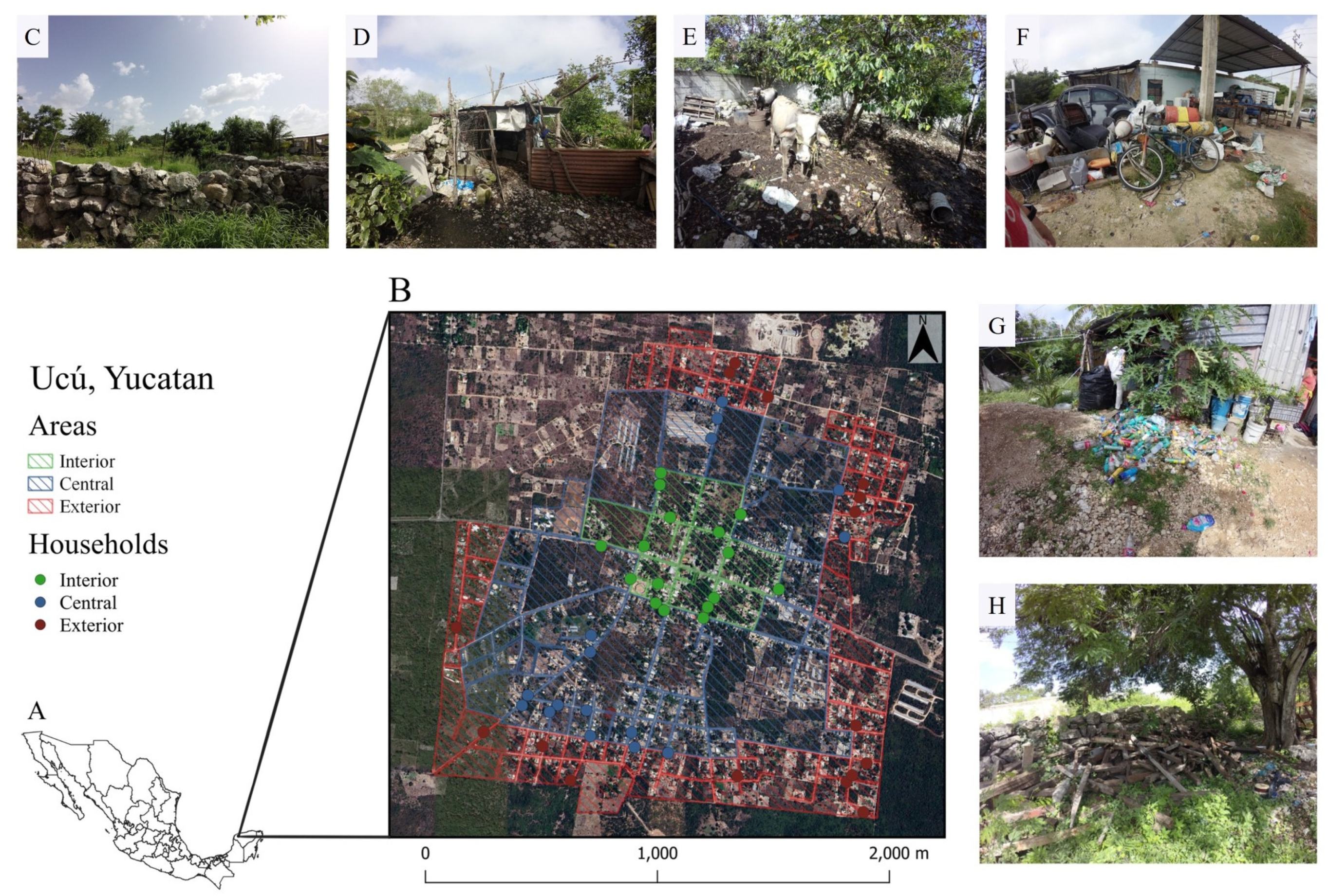 Pathogens 13 01037 g001