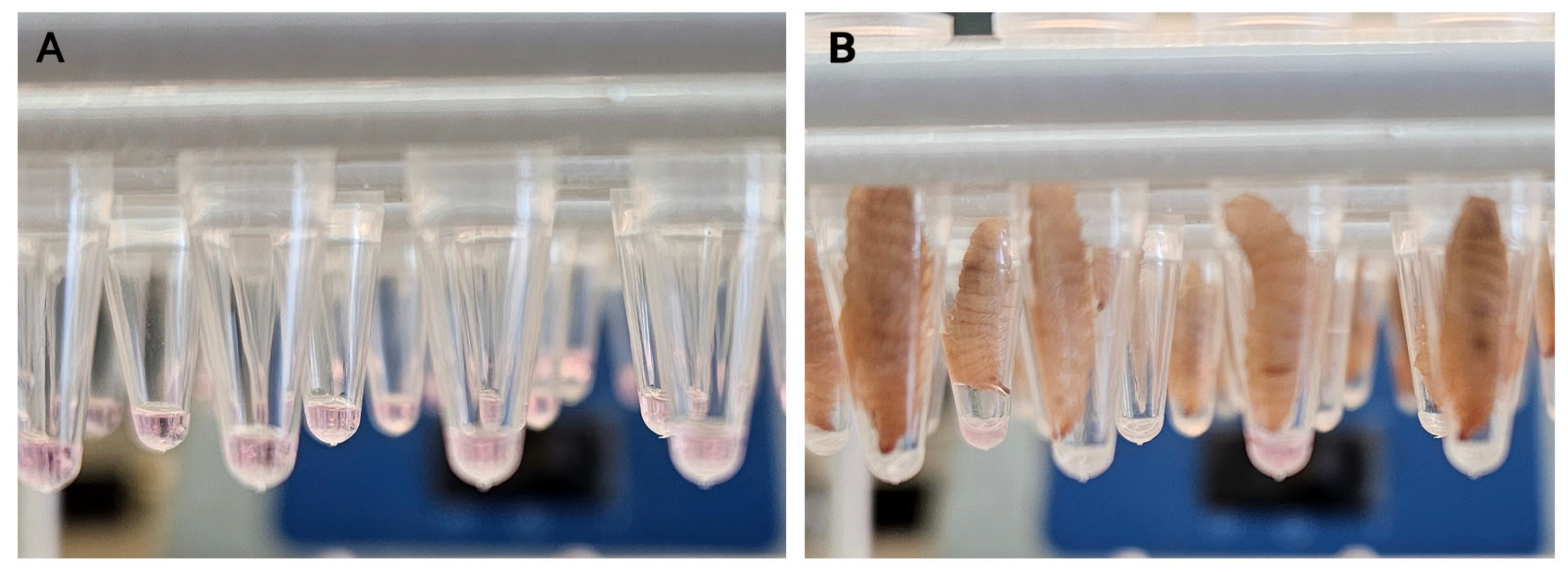 Pathogens 13 01038 g001