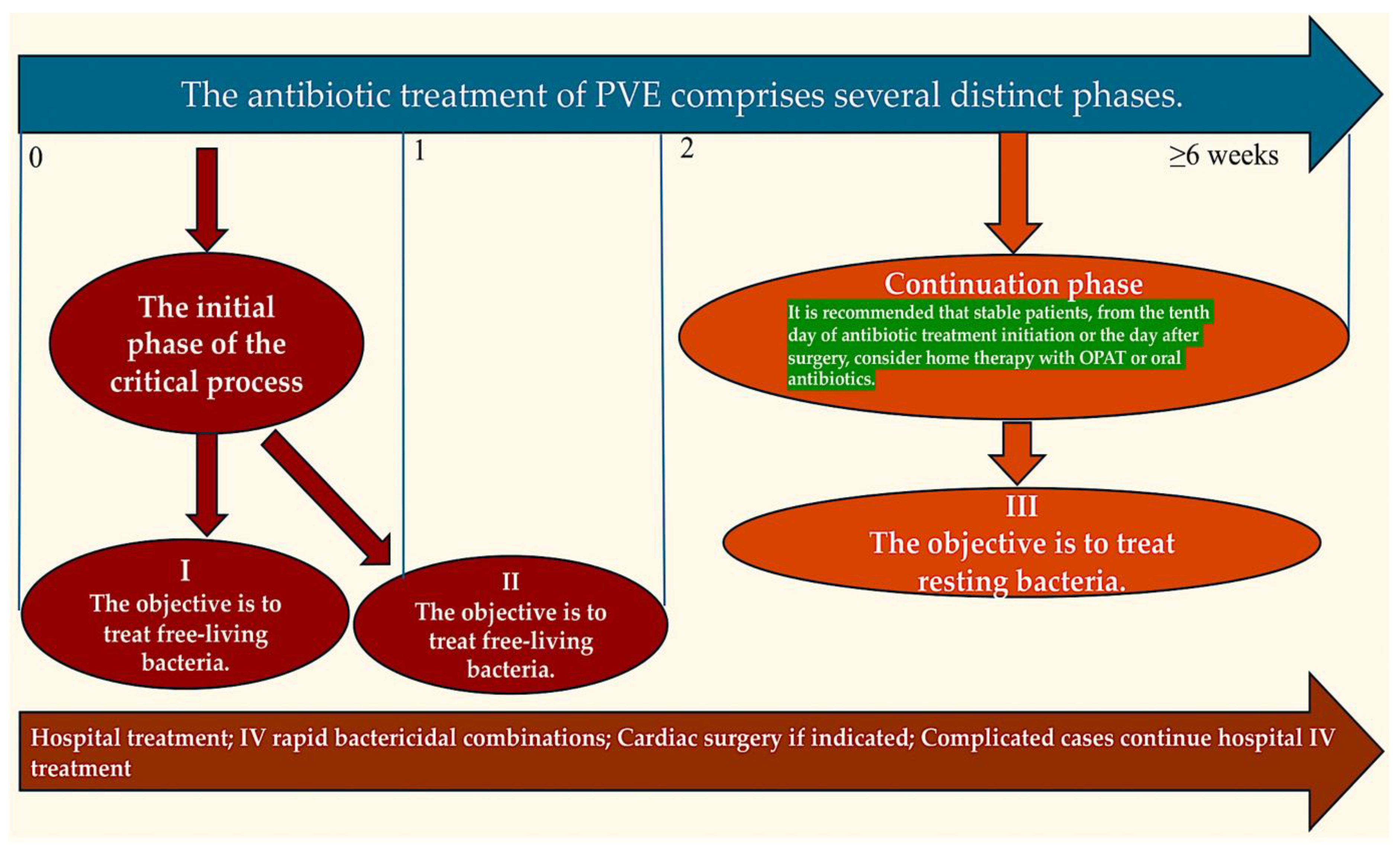 Pathogens 13 01039 g007 Pathogens 13 01039 g007
