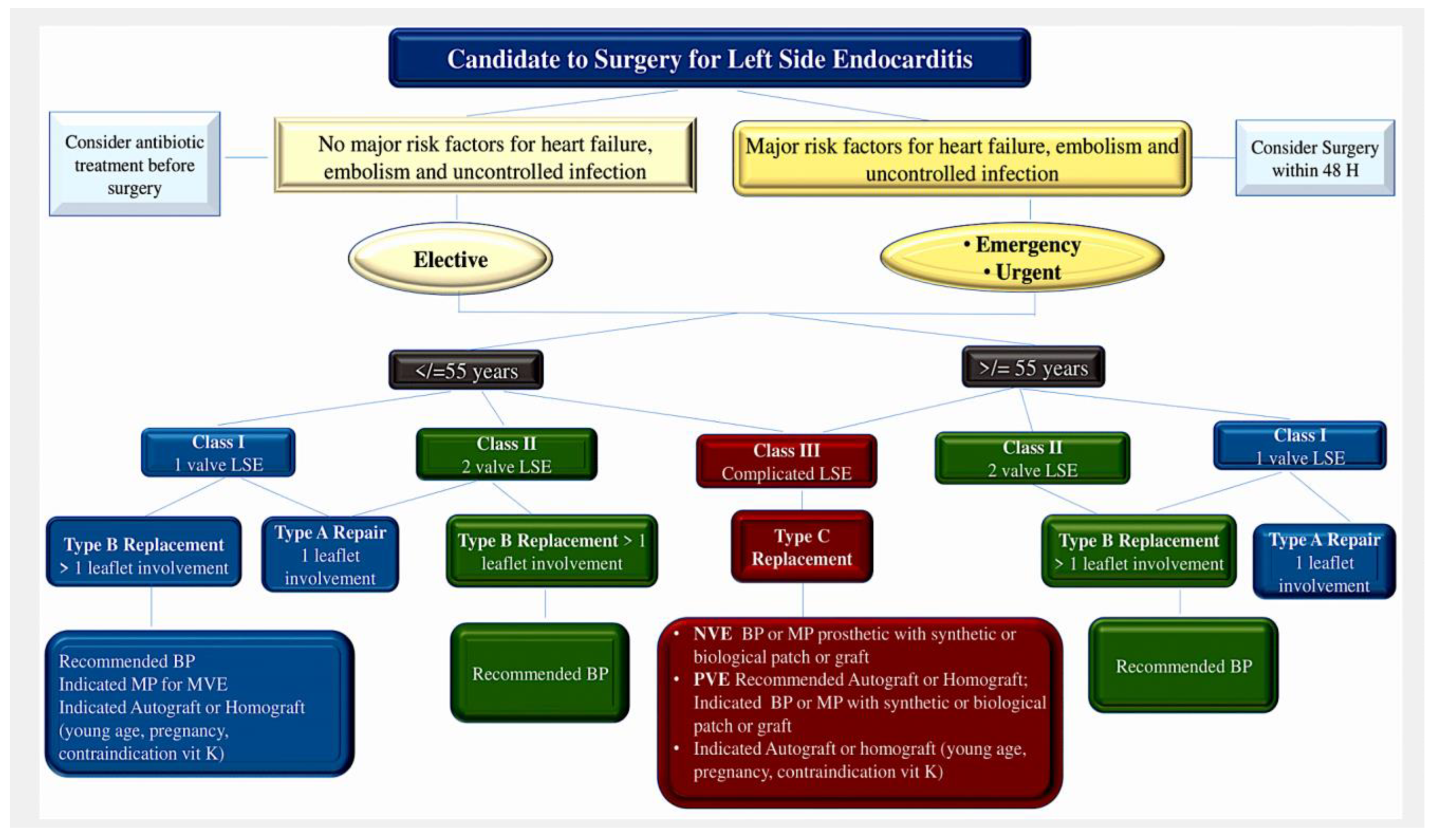 Pathogens 13 01039 g009 Pathogens 13 01039 g009