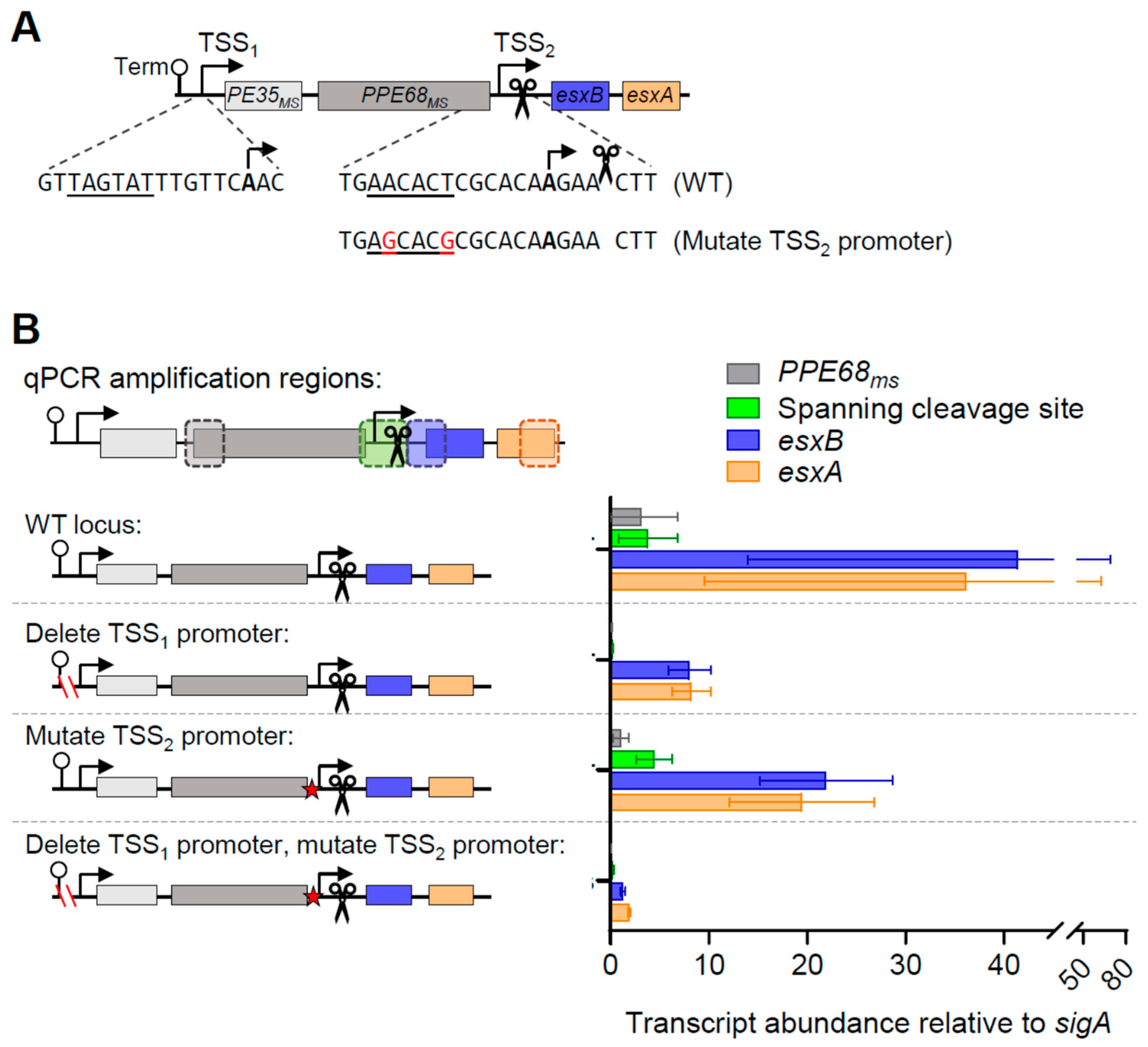 Pathogens 13 01041 g002