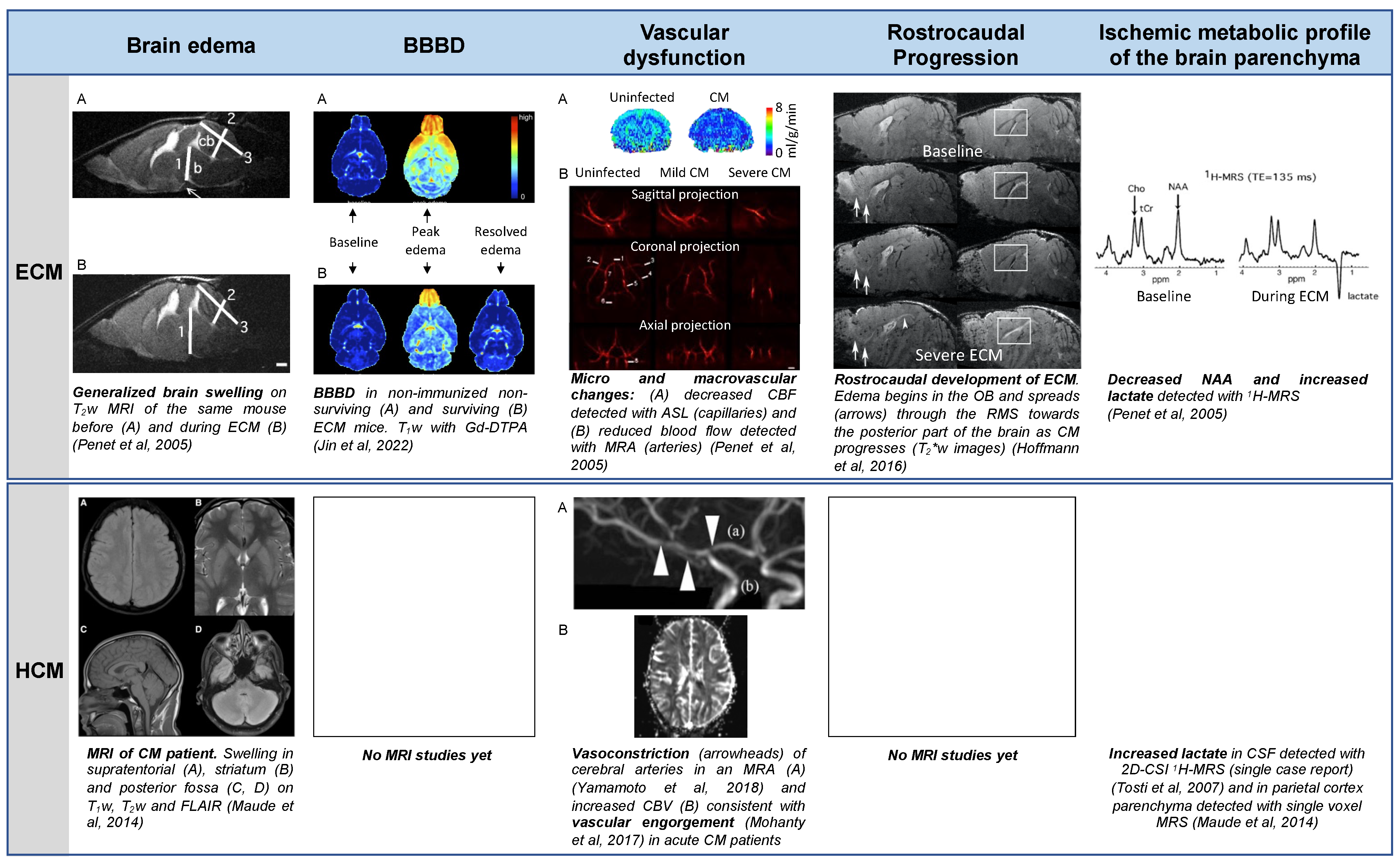 Pathogens 13 01042 g001 Pathogens 13 01042 g001