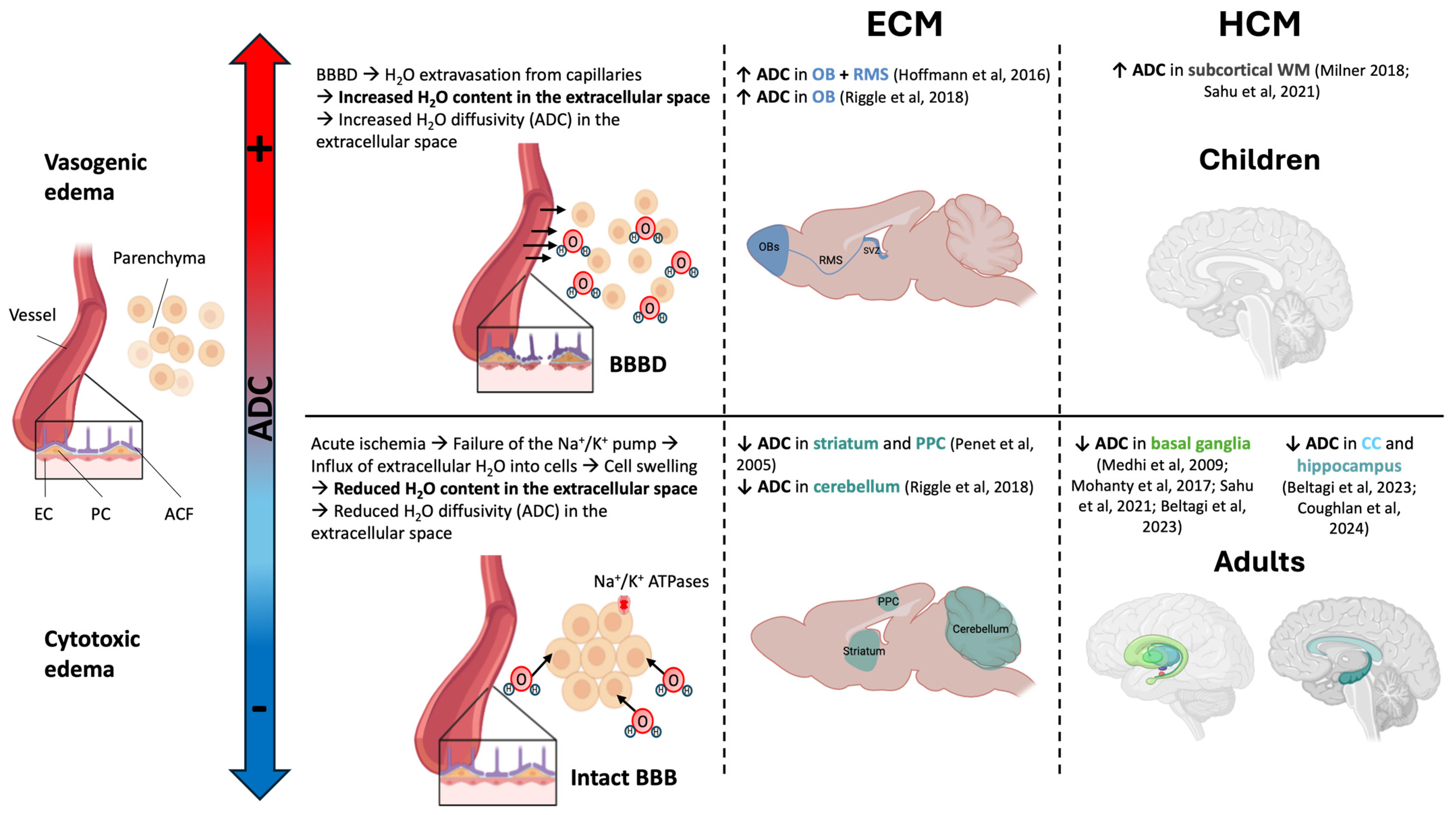 Pathogens 13 01042 g002 Pathogens 13 01042 g002