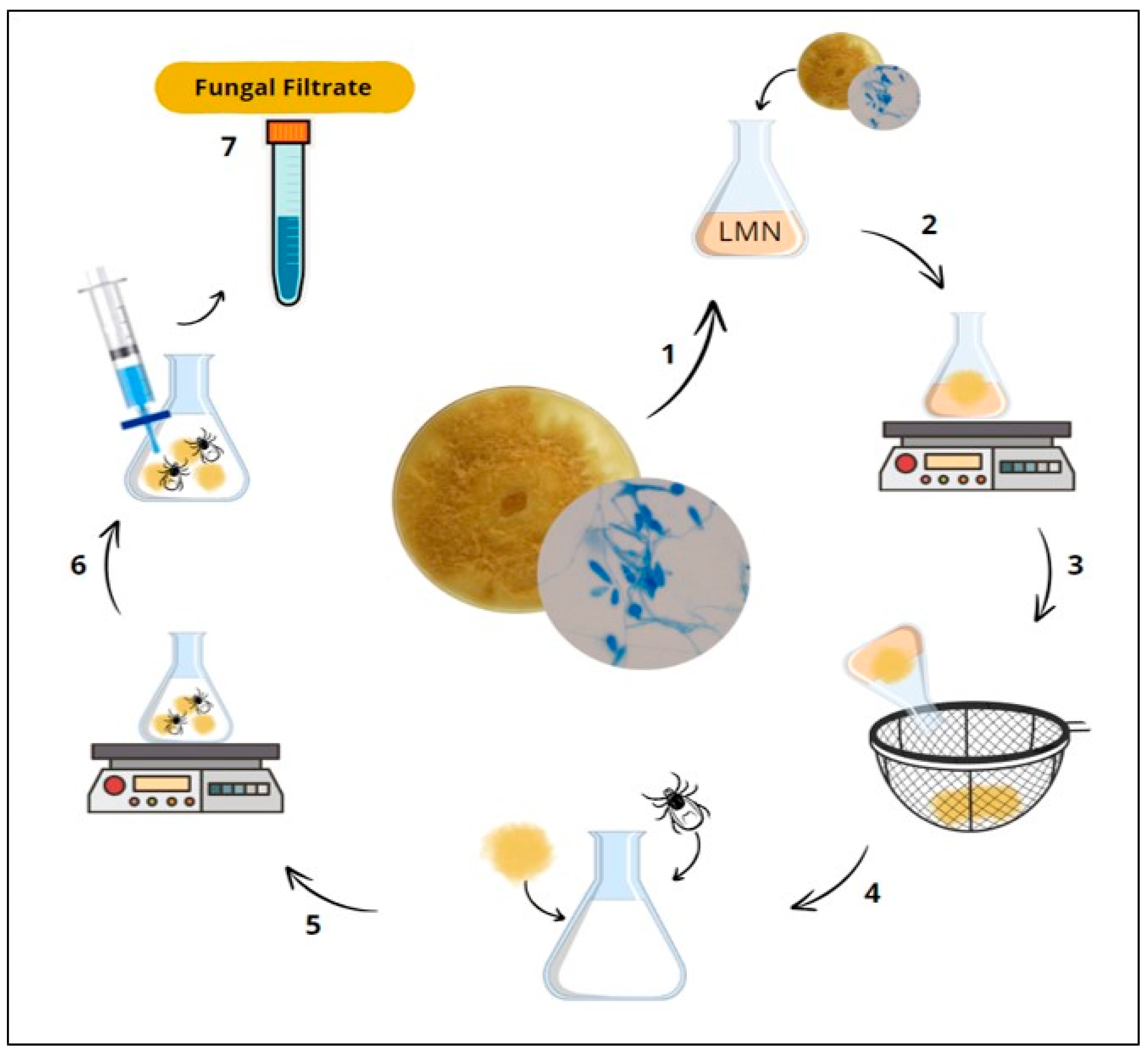 Pathogens 13 01043 g001