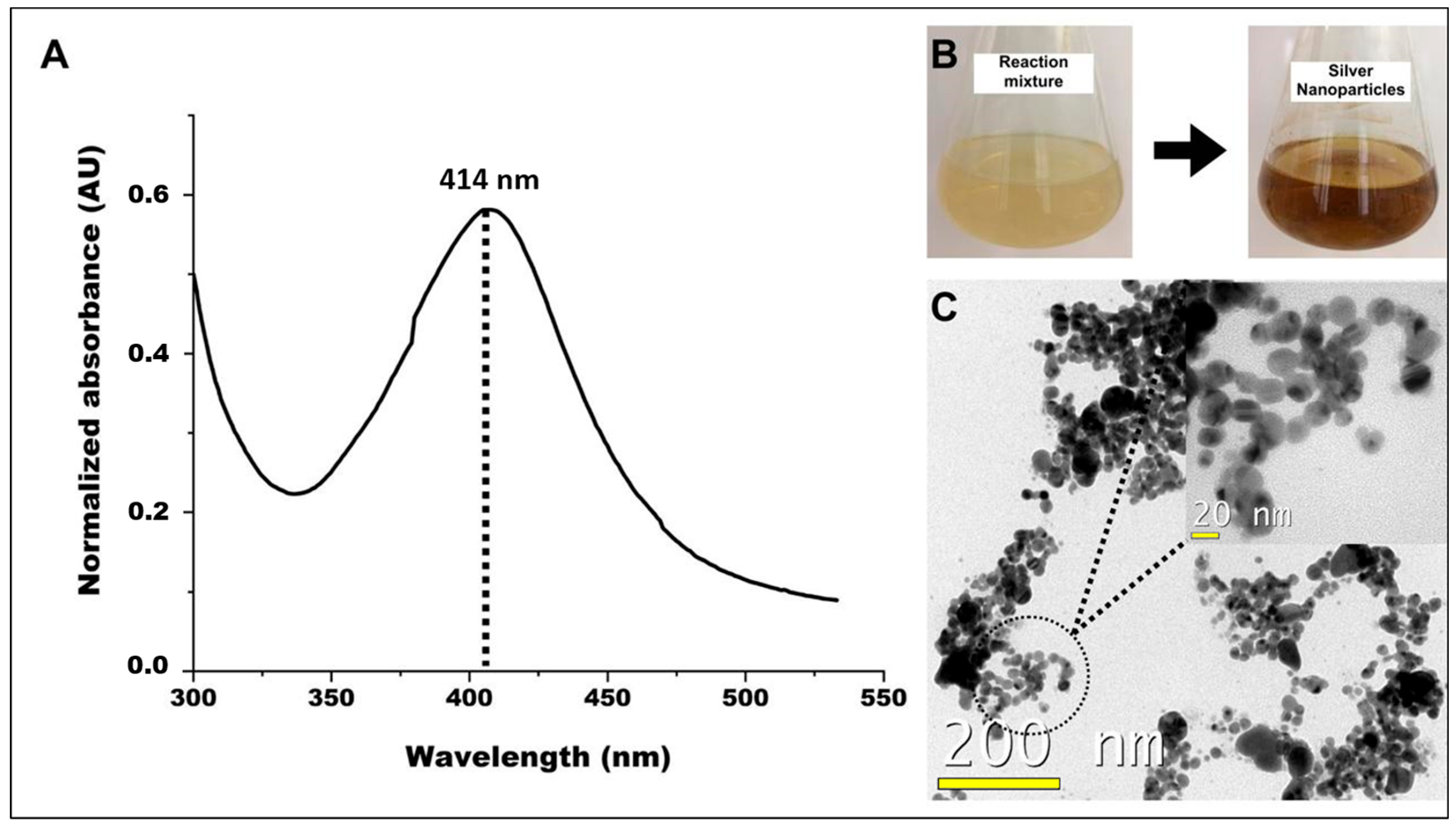 Pathogens 13 01043 g003