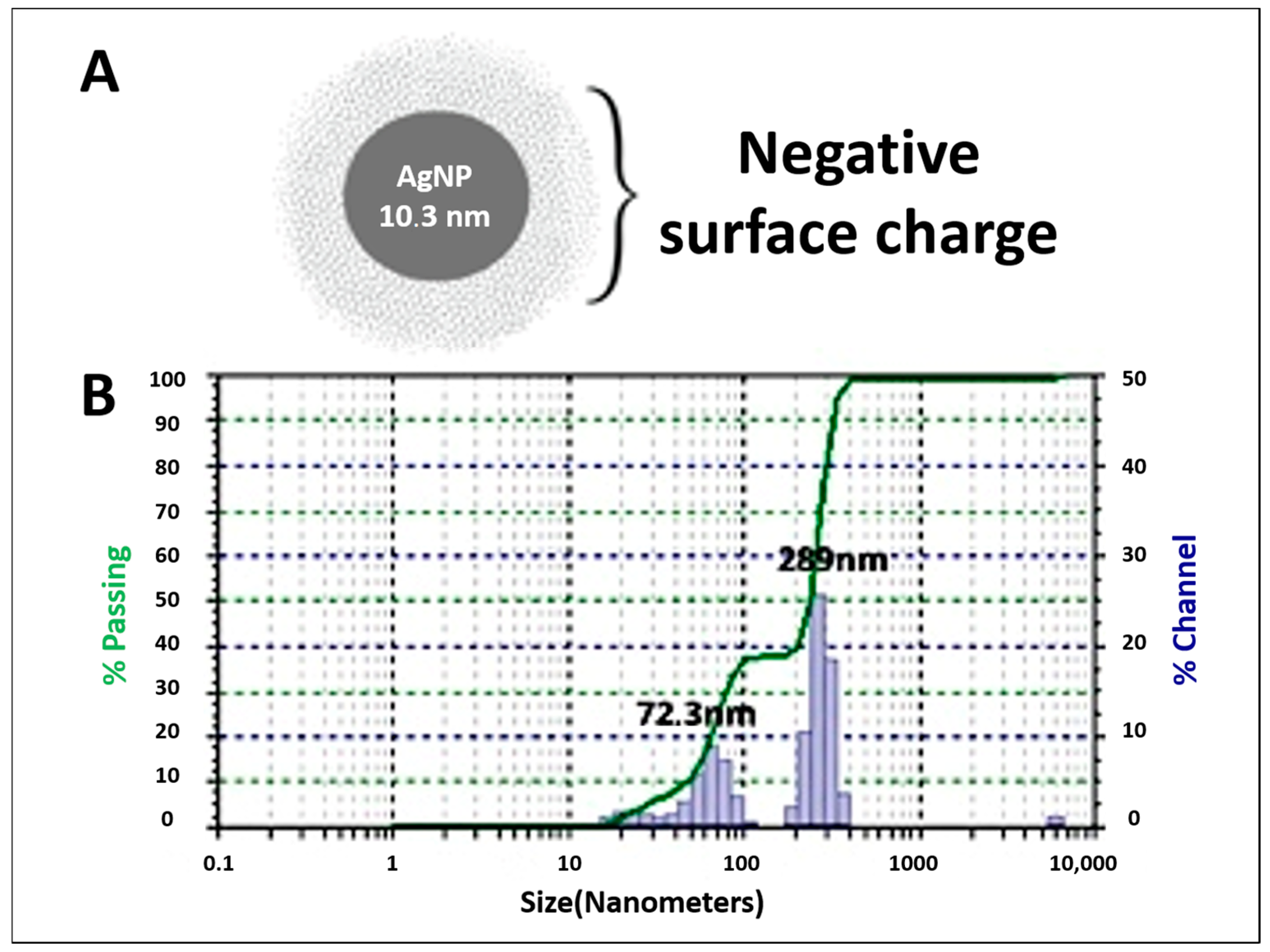 Pathogens 13 01043 g004