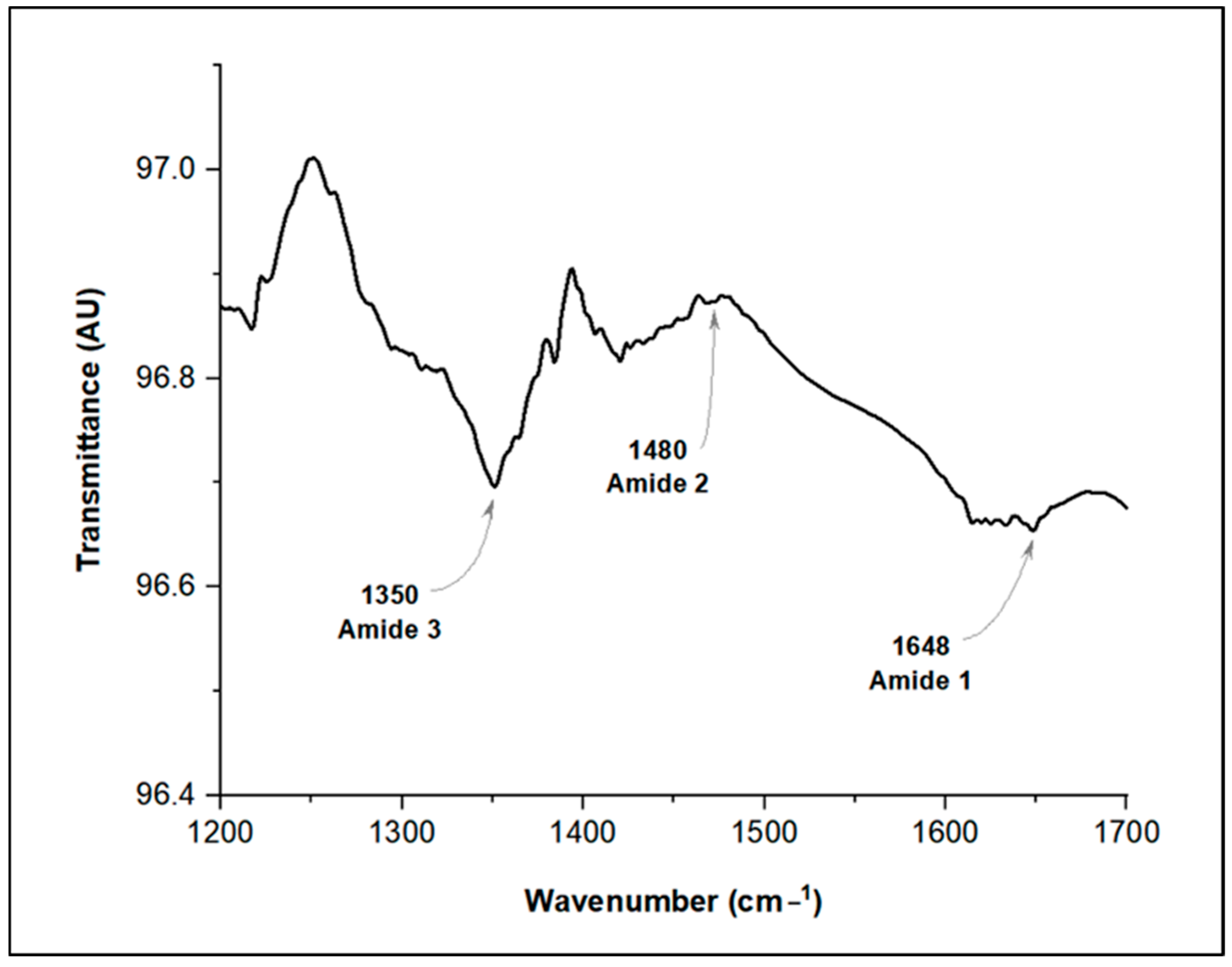 Pathogens 13 01043 g005