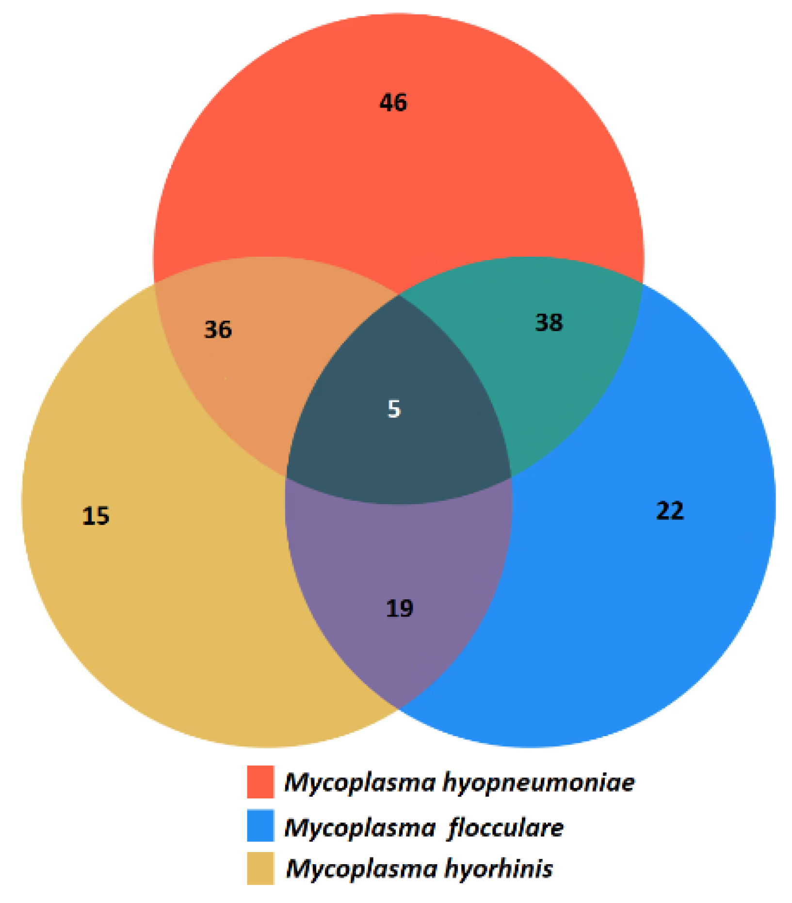 Pathogens 13 01044 g002 Pathogens 13 01044 g002