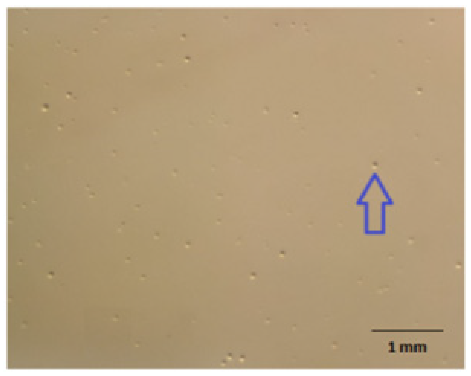 Pathogens 13 01044 g003 Pathogens 13 01044 g003