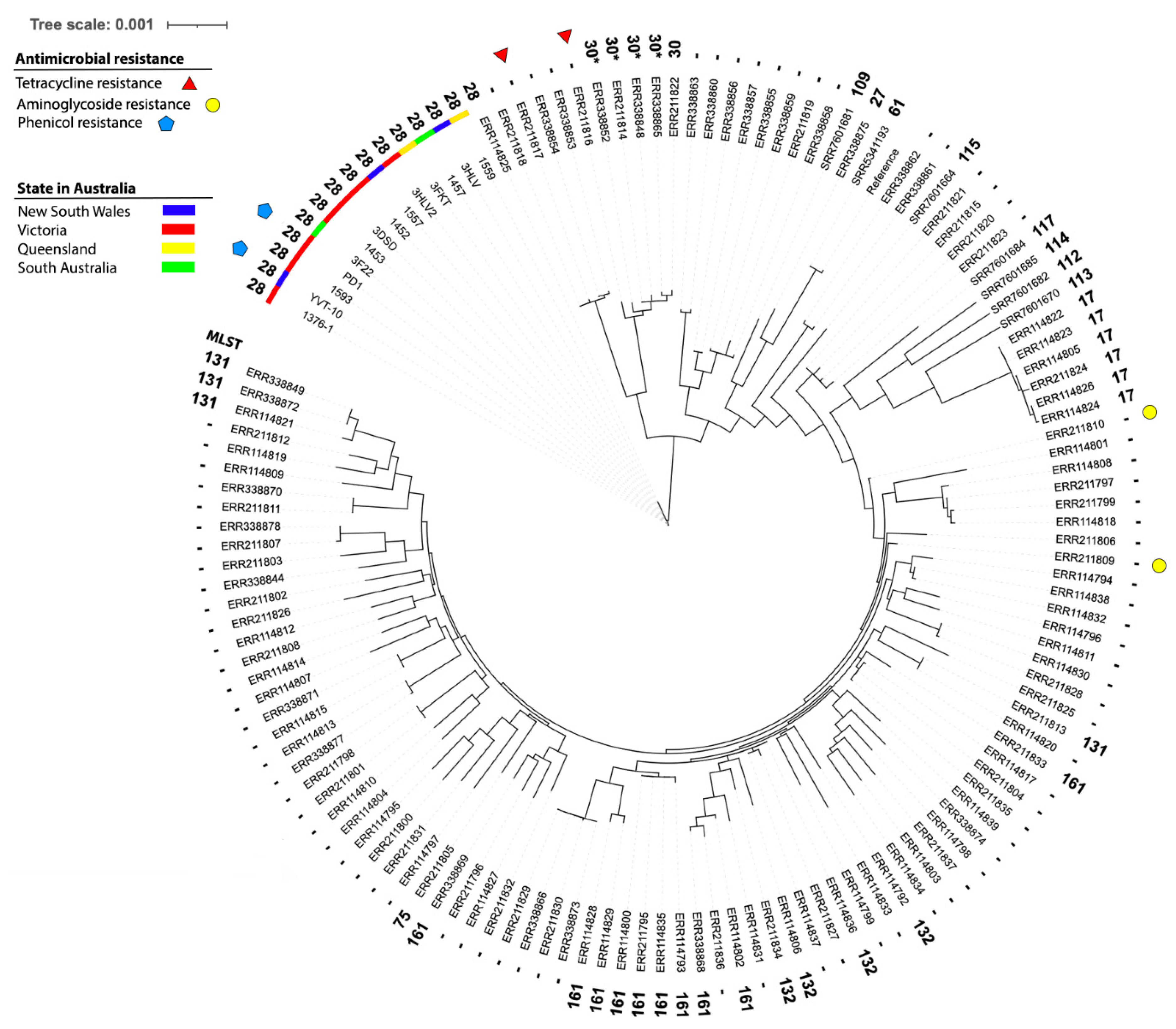 Pathogens 13 01044 g005 Pathogens 13 01044 g005
