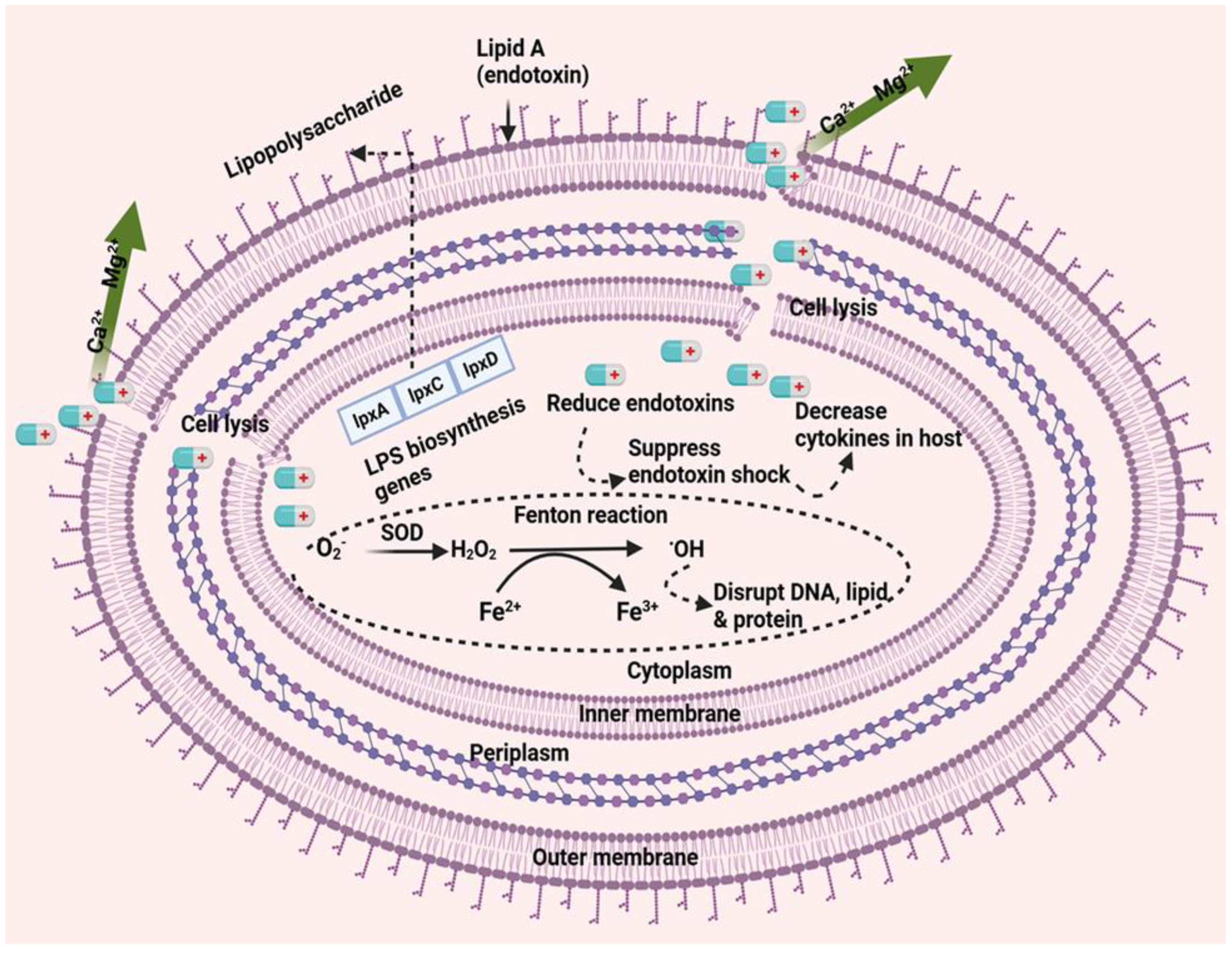 Pathogens 13 01049 g001 Pathogens 13 01049 g001