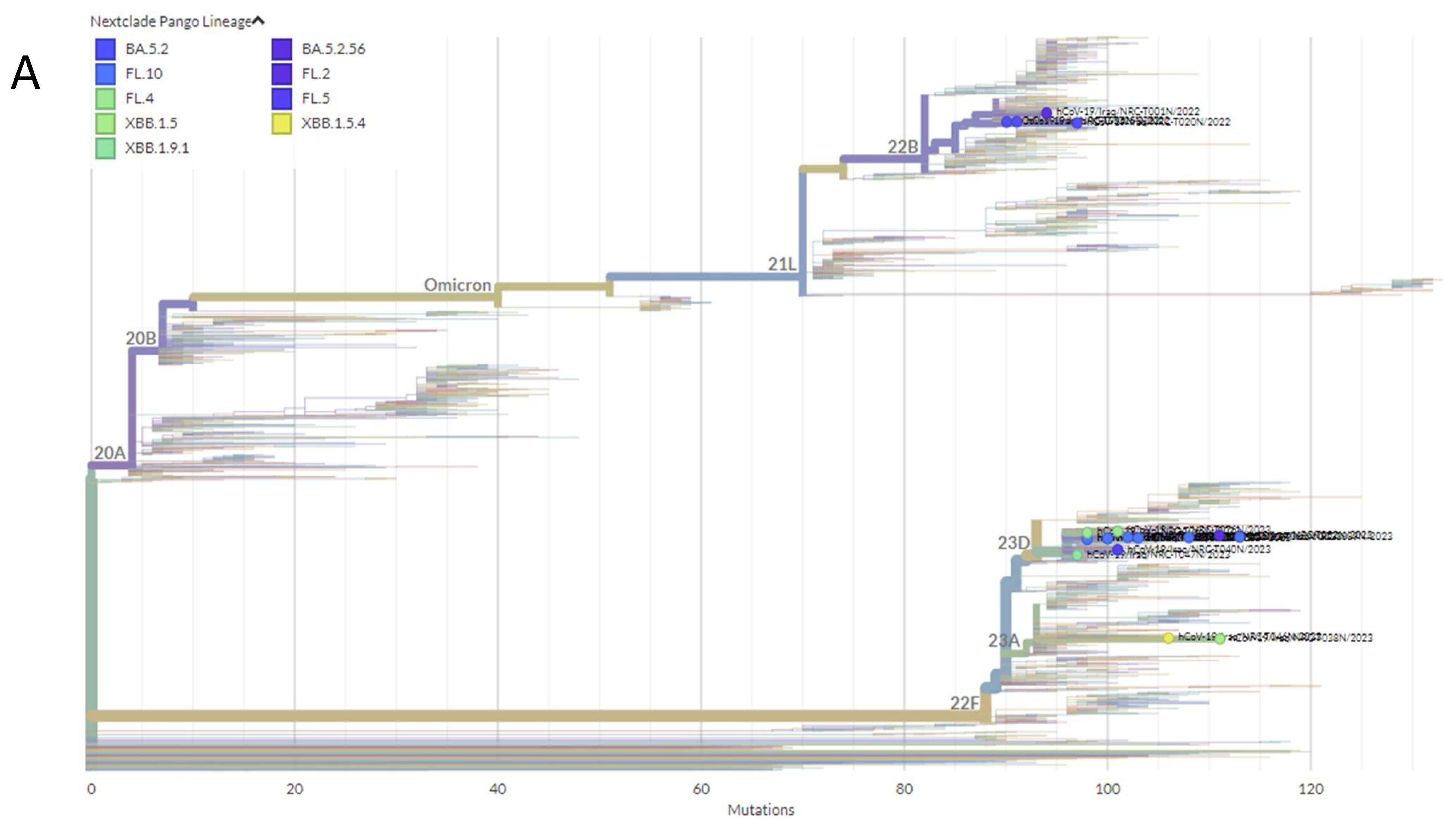Pathogens 13 01051 g005a
