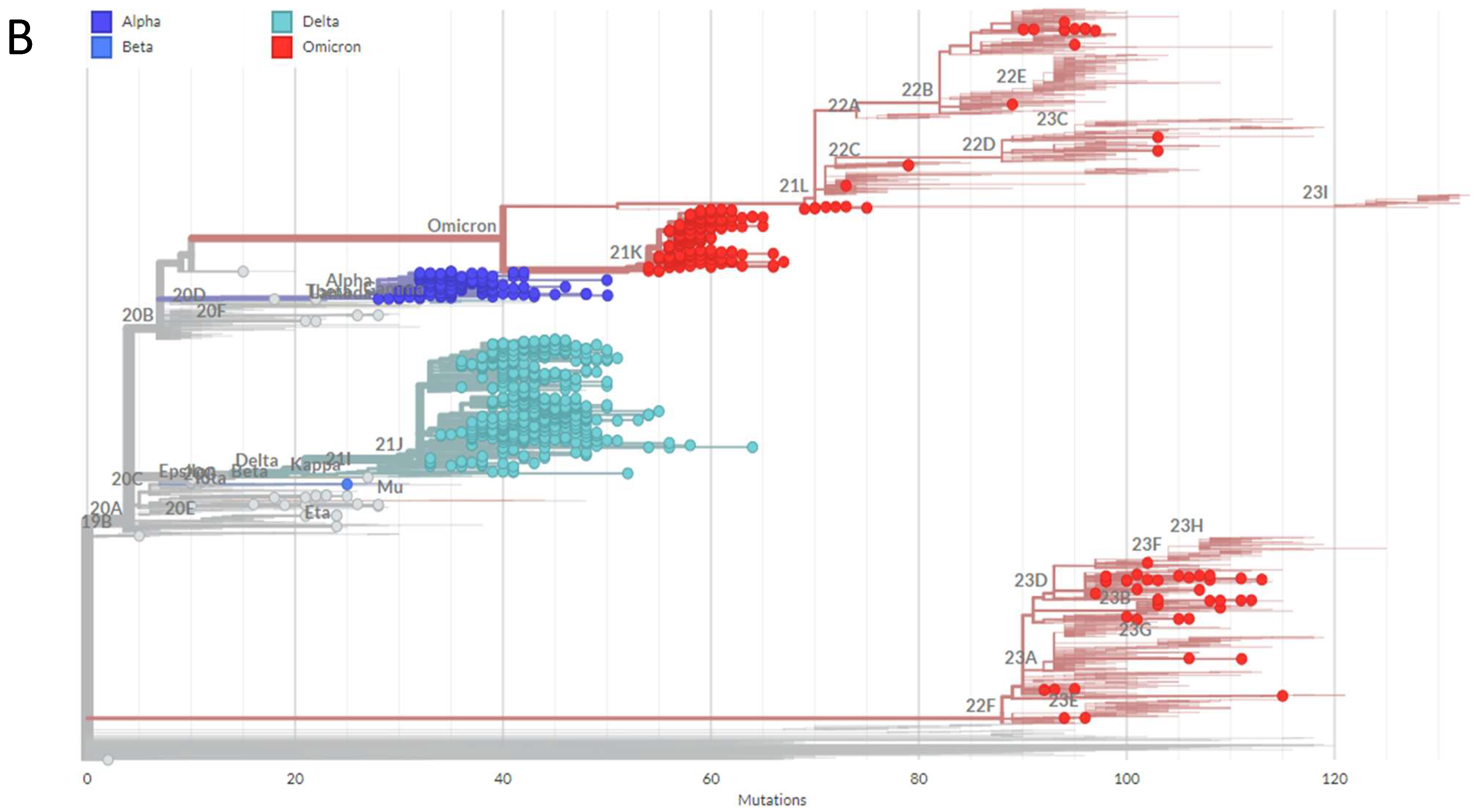 Pathogens 13 01051 g005b