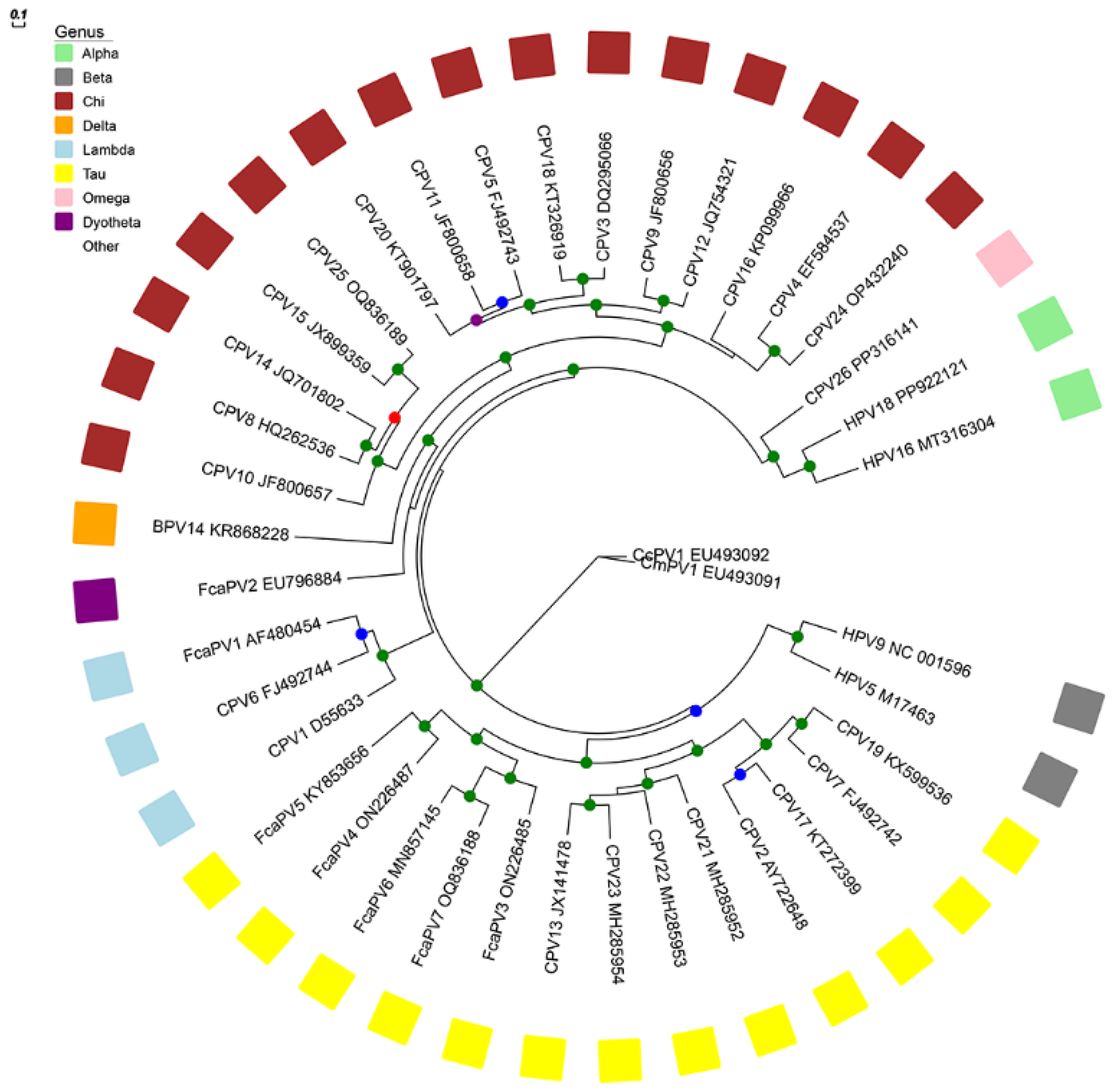 Pathogens 13 01057 g002