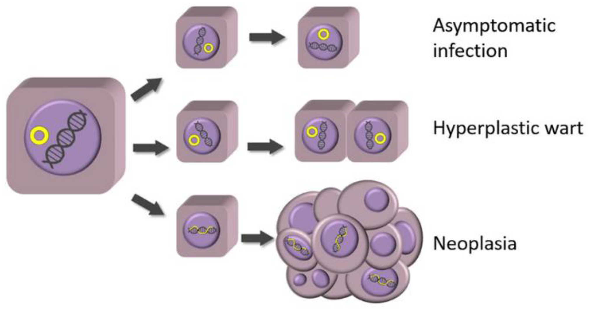 Pathogens 13 01057 g003