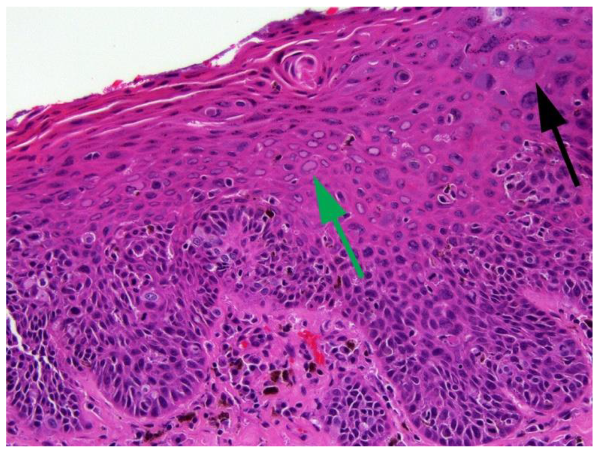 Pathogens 13 01057 g009