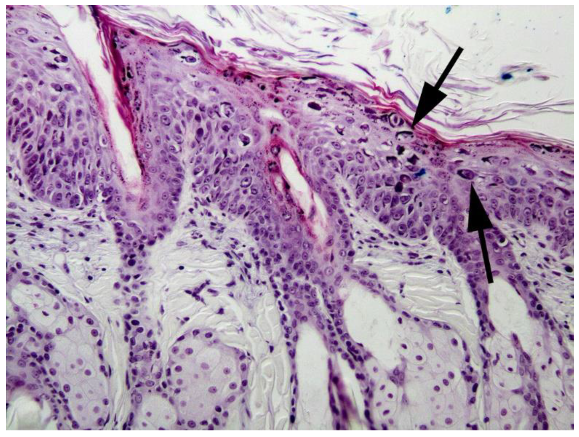 Pathogens 13 01057 g012