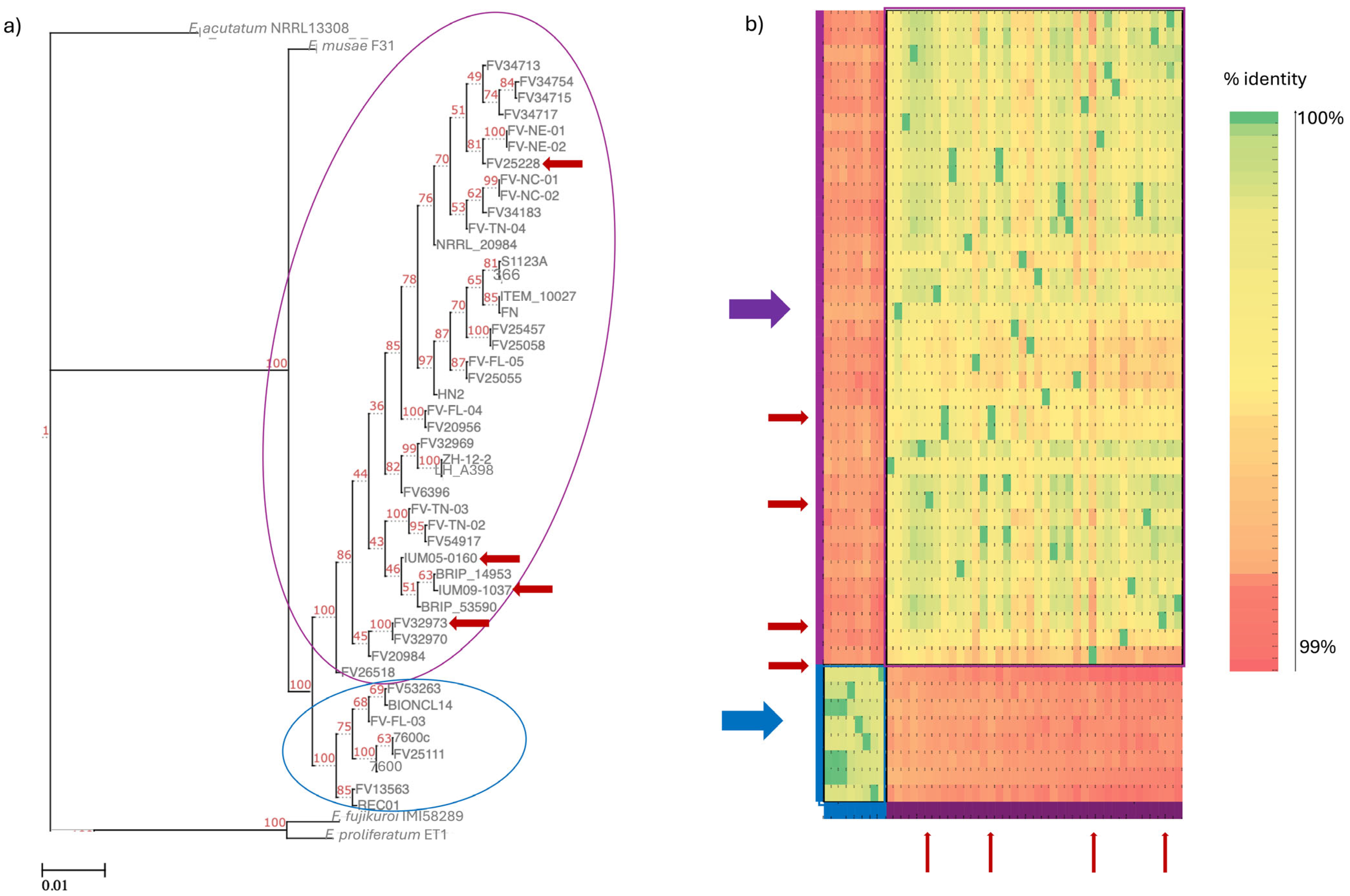 Pathogens 13 01062 g002 Pathogens 13 01062 g002