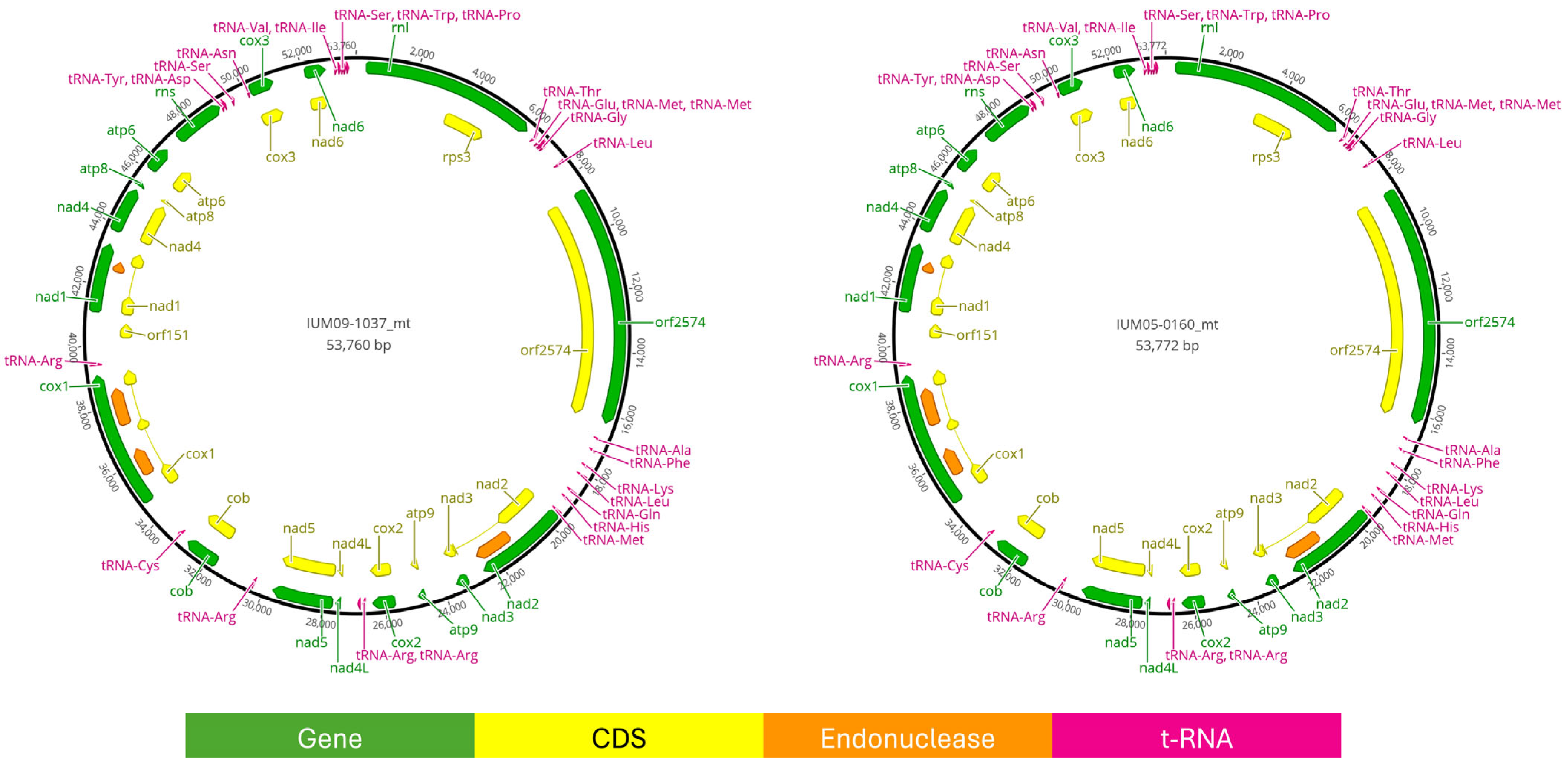 Pathogens 13 01062 g003 Pathogens 13 01062 g003