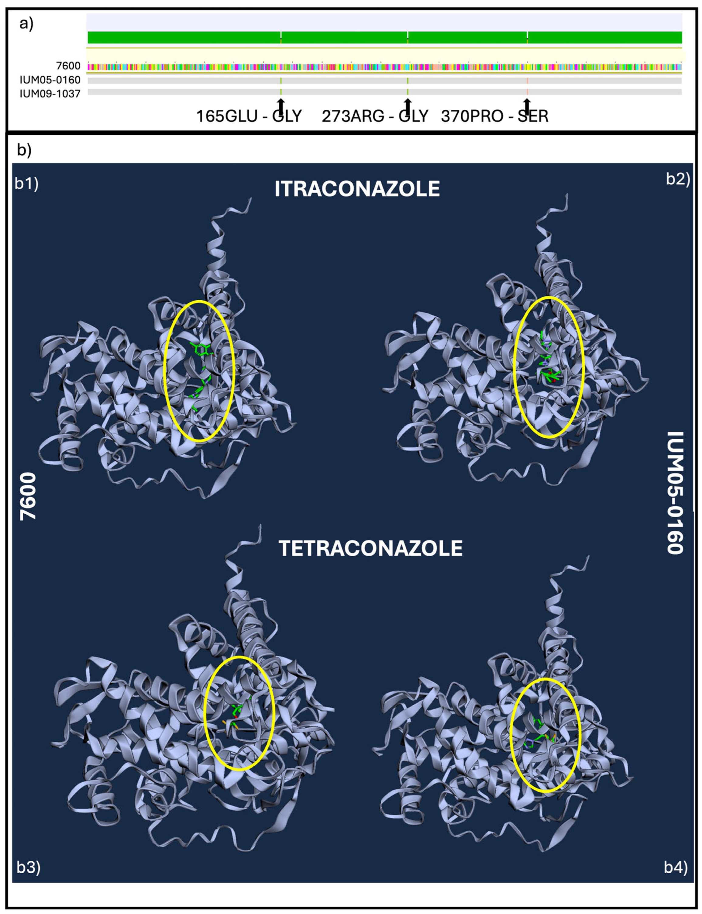 Pathogens 13 01062 g004 Pathogens 13 01062 g004