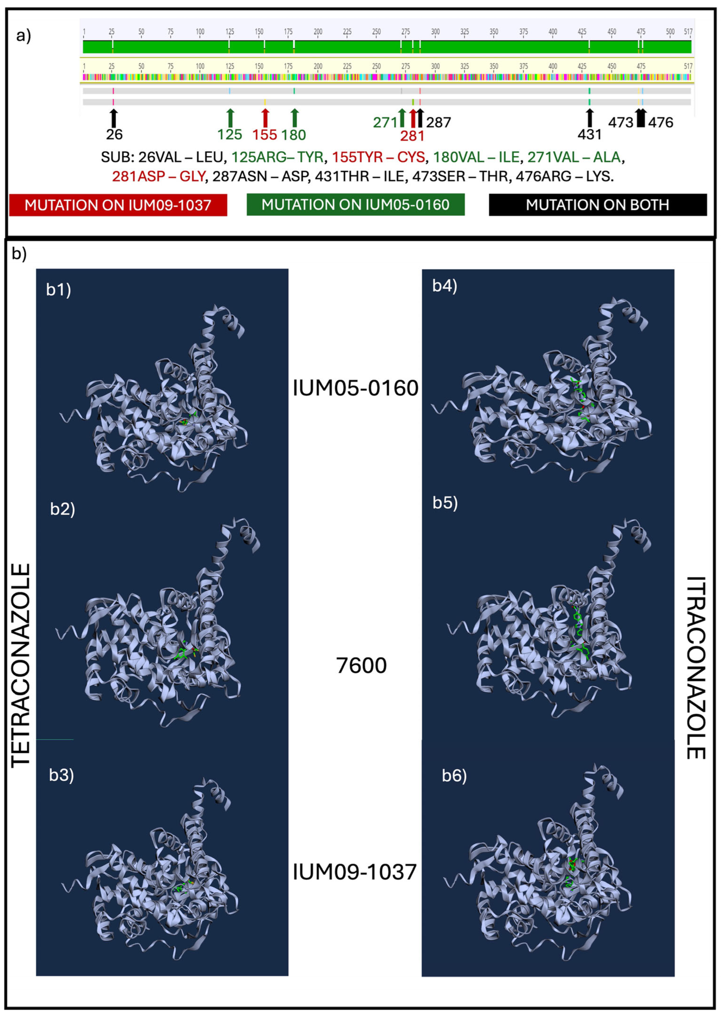 Pathogens 13 01062 g005 Pathogens 13 01062 g005