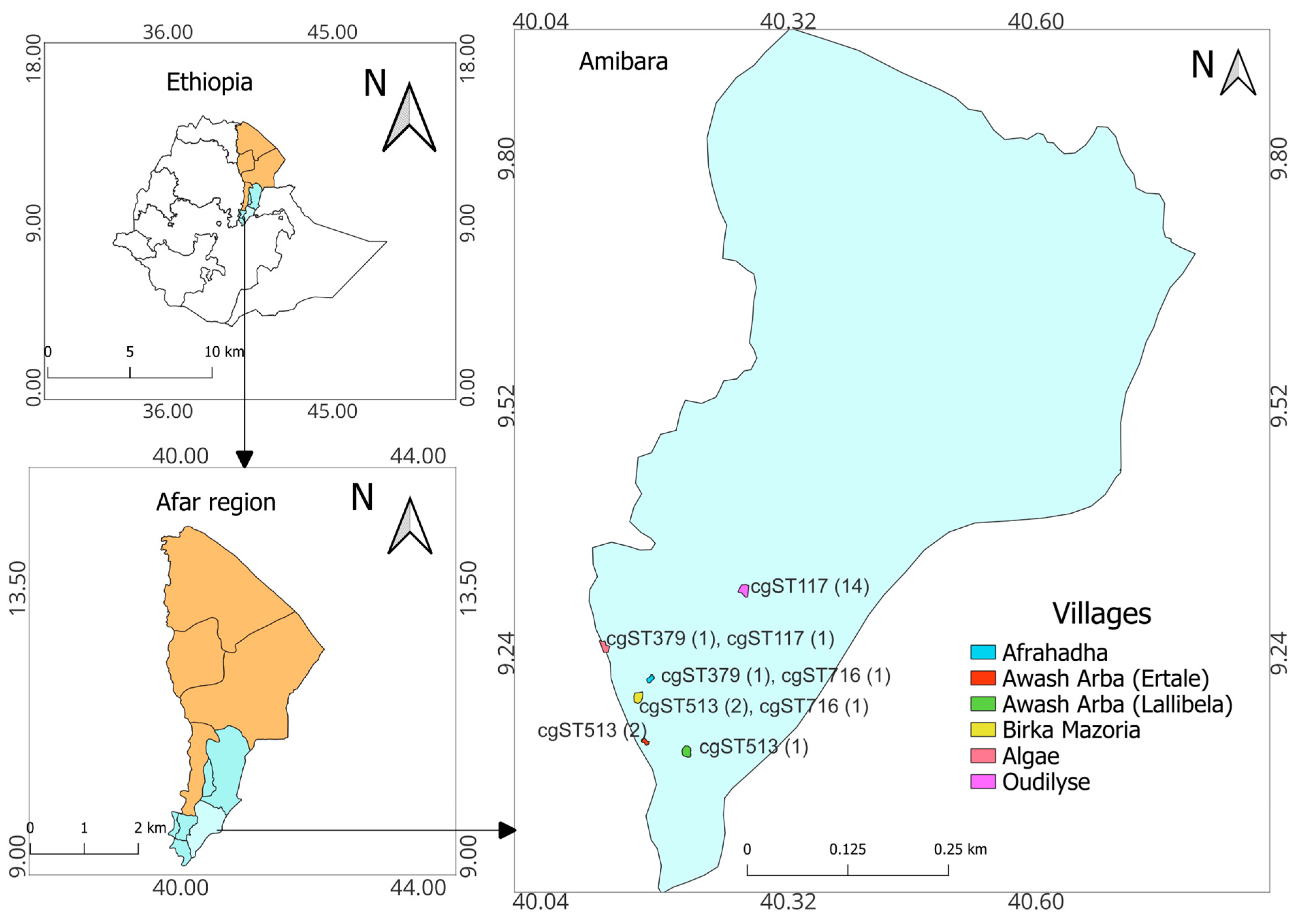 Pathogens 13 01063 g001 Pathogens 13 01063 g001