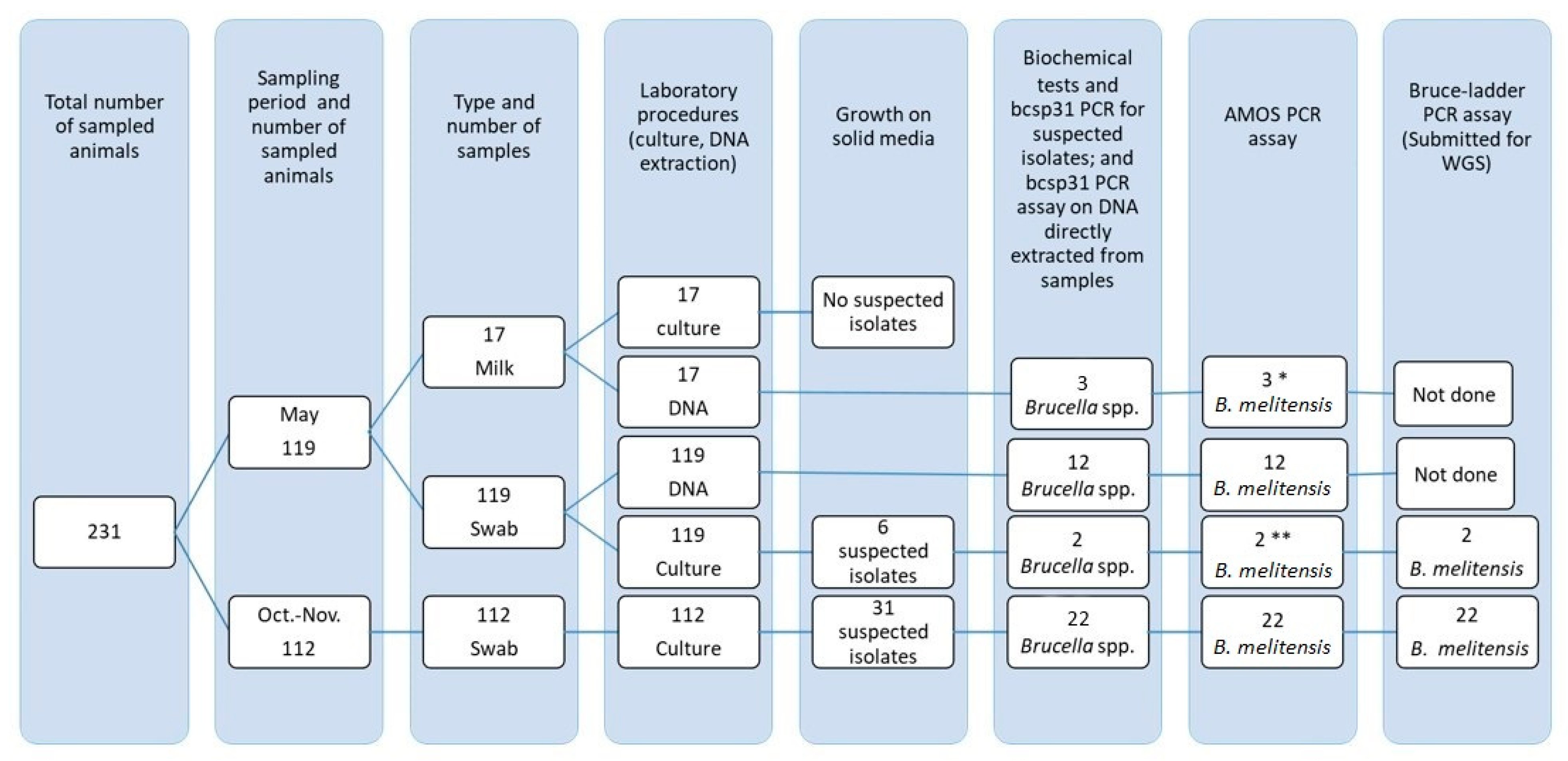 Pathogens 13 01063 g002 Pathogens 13 01063 g002