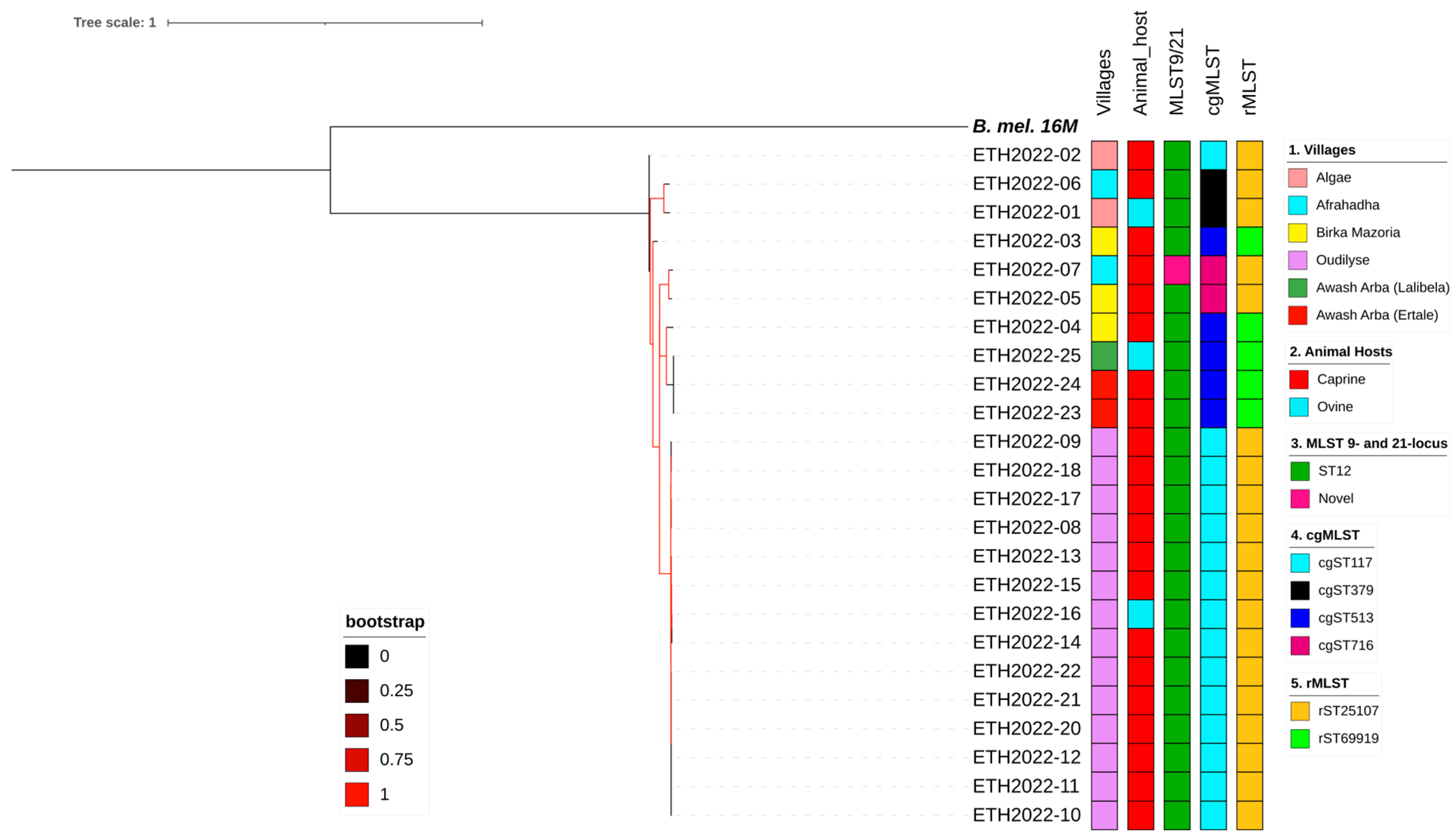 Pathogens 13 01063 g004 Pathogens 13 01063 g004